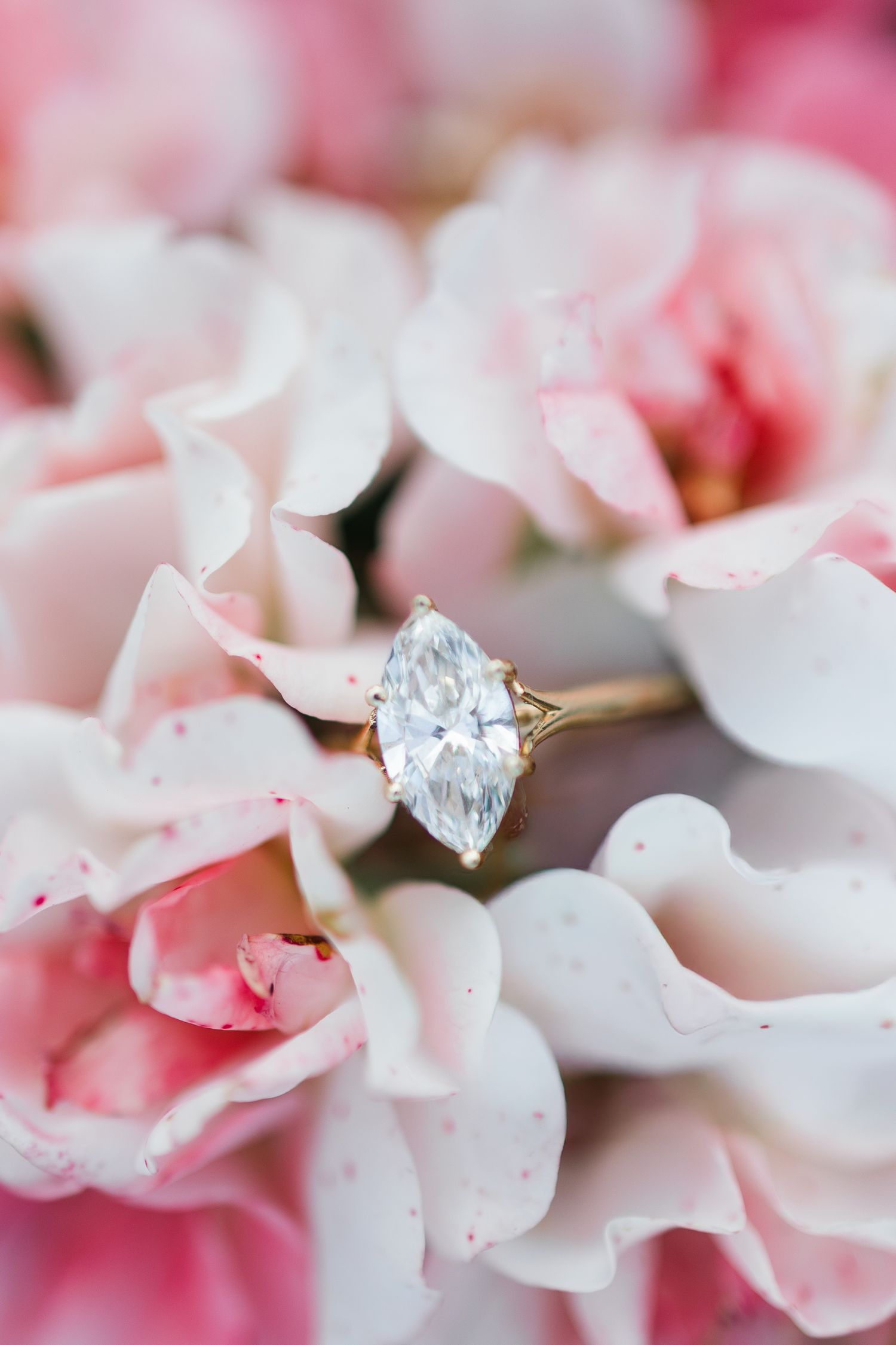 Marquise diamond solitaire engagement ring on gold band resting among soft pink rose petals.