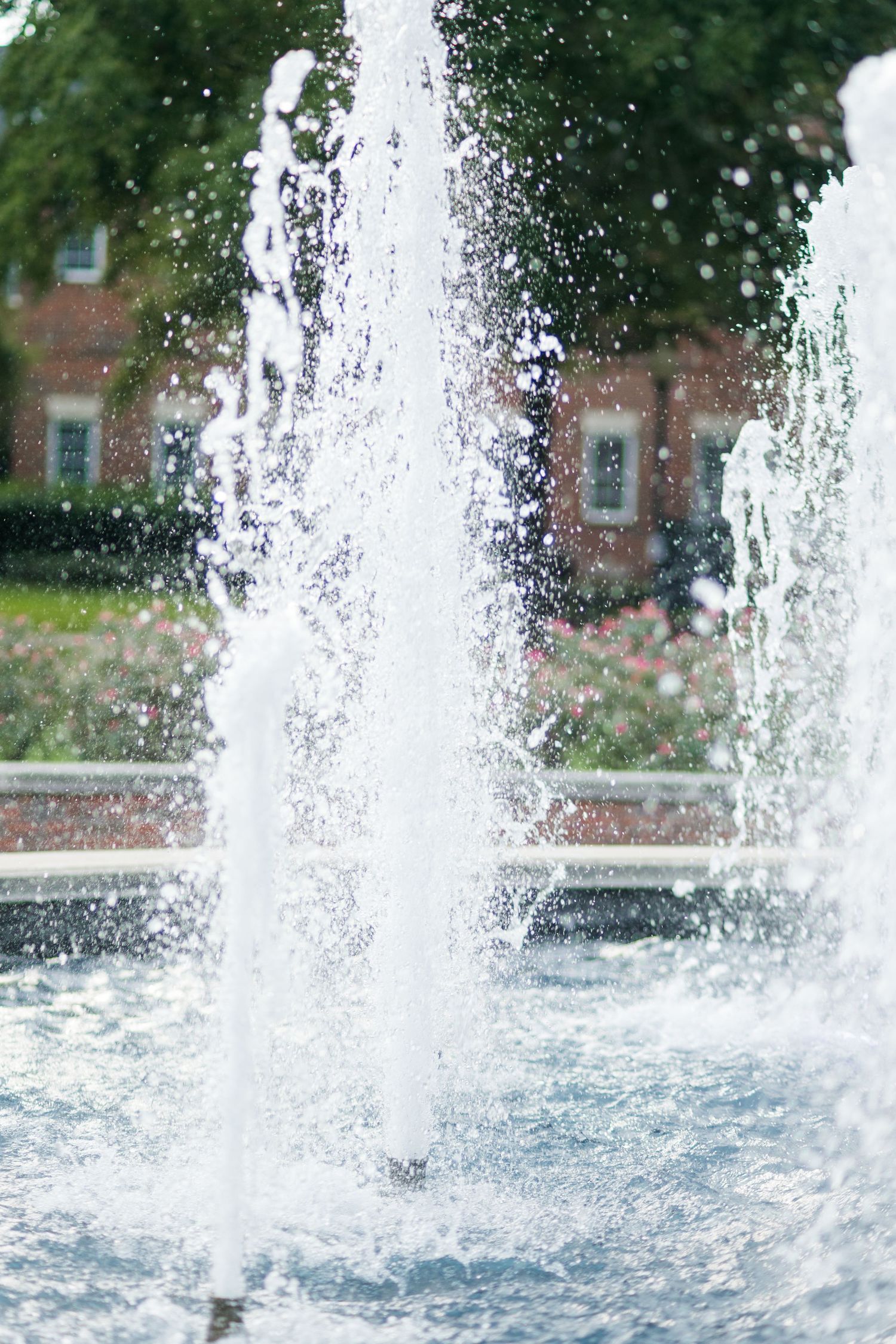 A sparkling water fountain jets upward in a public park with a brick building and lush green trees in the background.