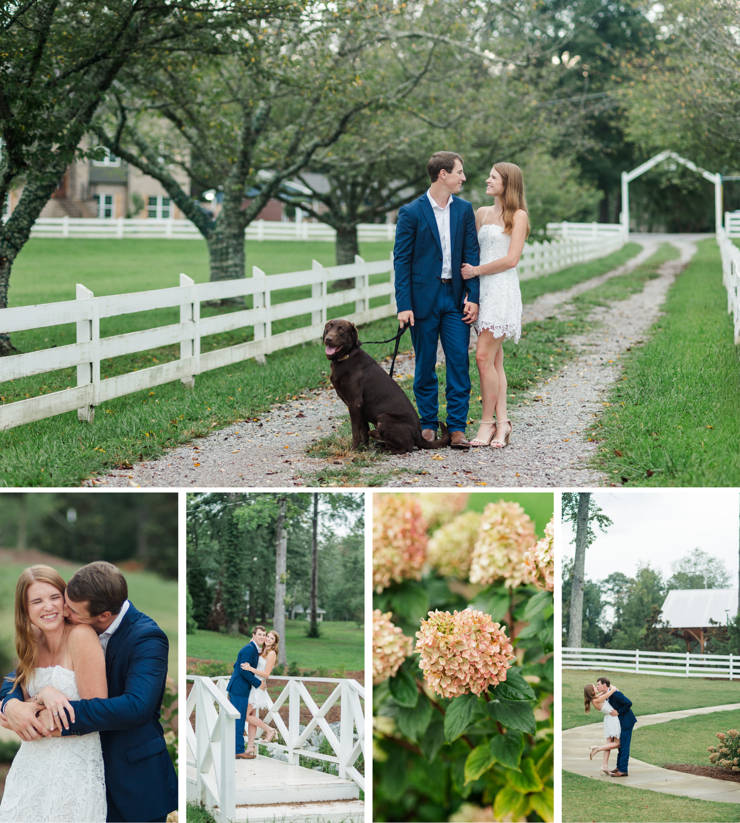 Couple in wedding attire with chocolate Labrador on gravel path lined with white fence and green trees.