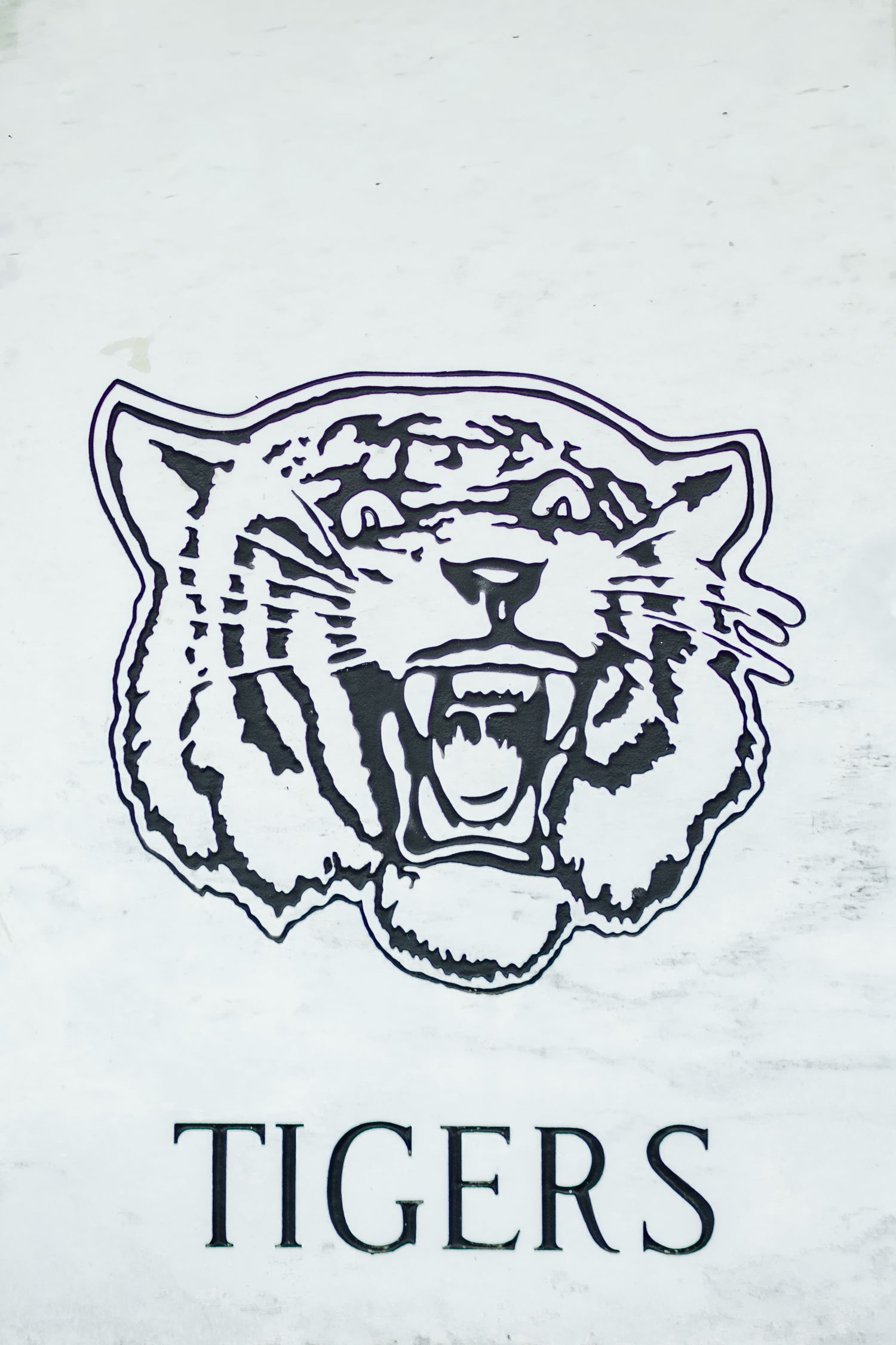 Black and white Tigers mascot logo featuring a roaring tiger head on a white wall surface.