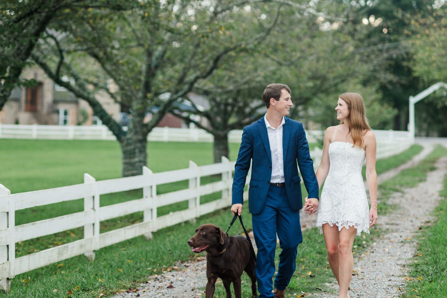 Couple in wedding attire walking a chocolate Labrador along a white fence-lined path at an elegant outdoor venue.