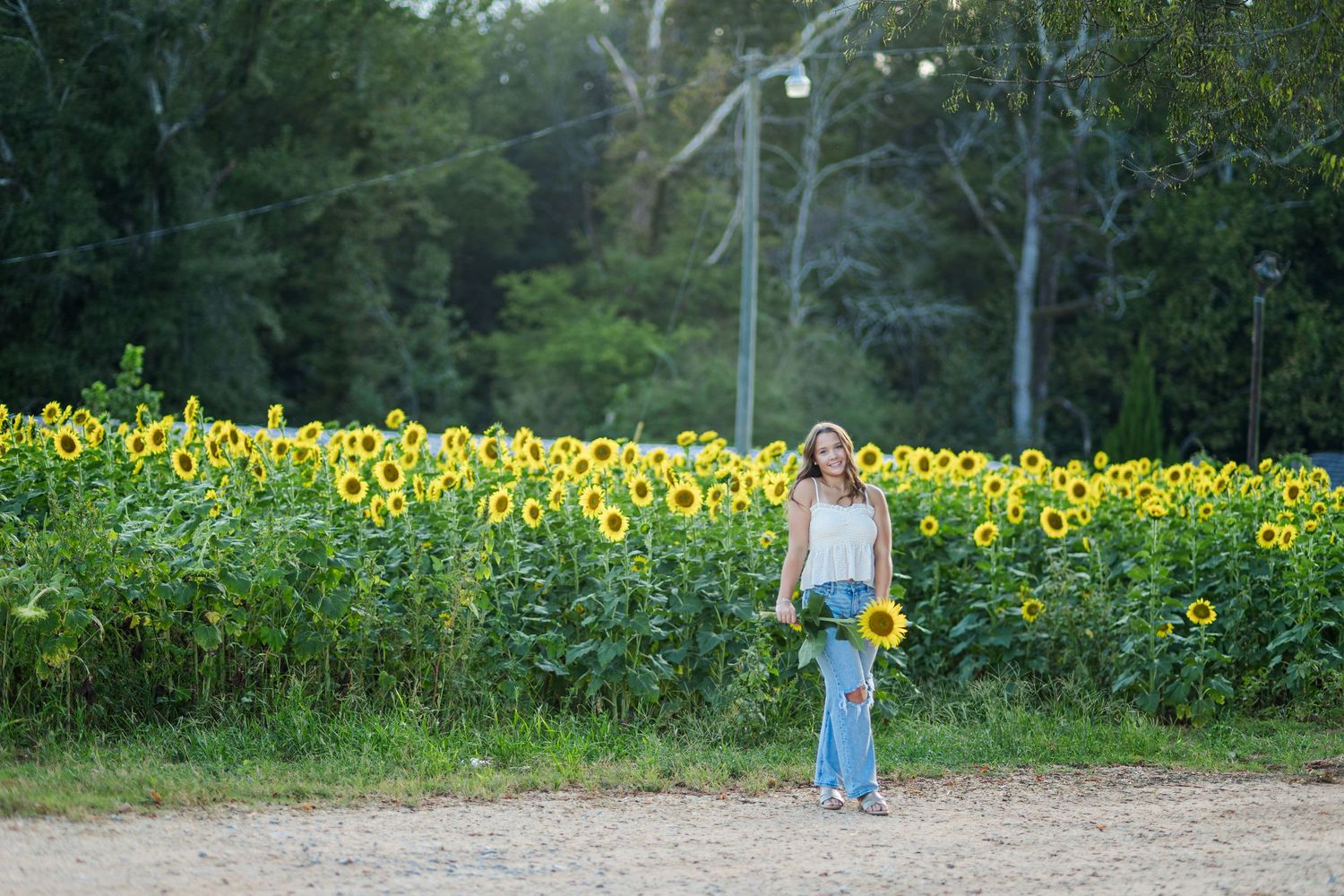 Young woman holding sunflowers stands before a vibrant sunflower field with lush green trees in the background.