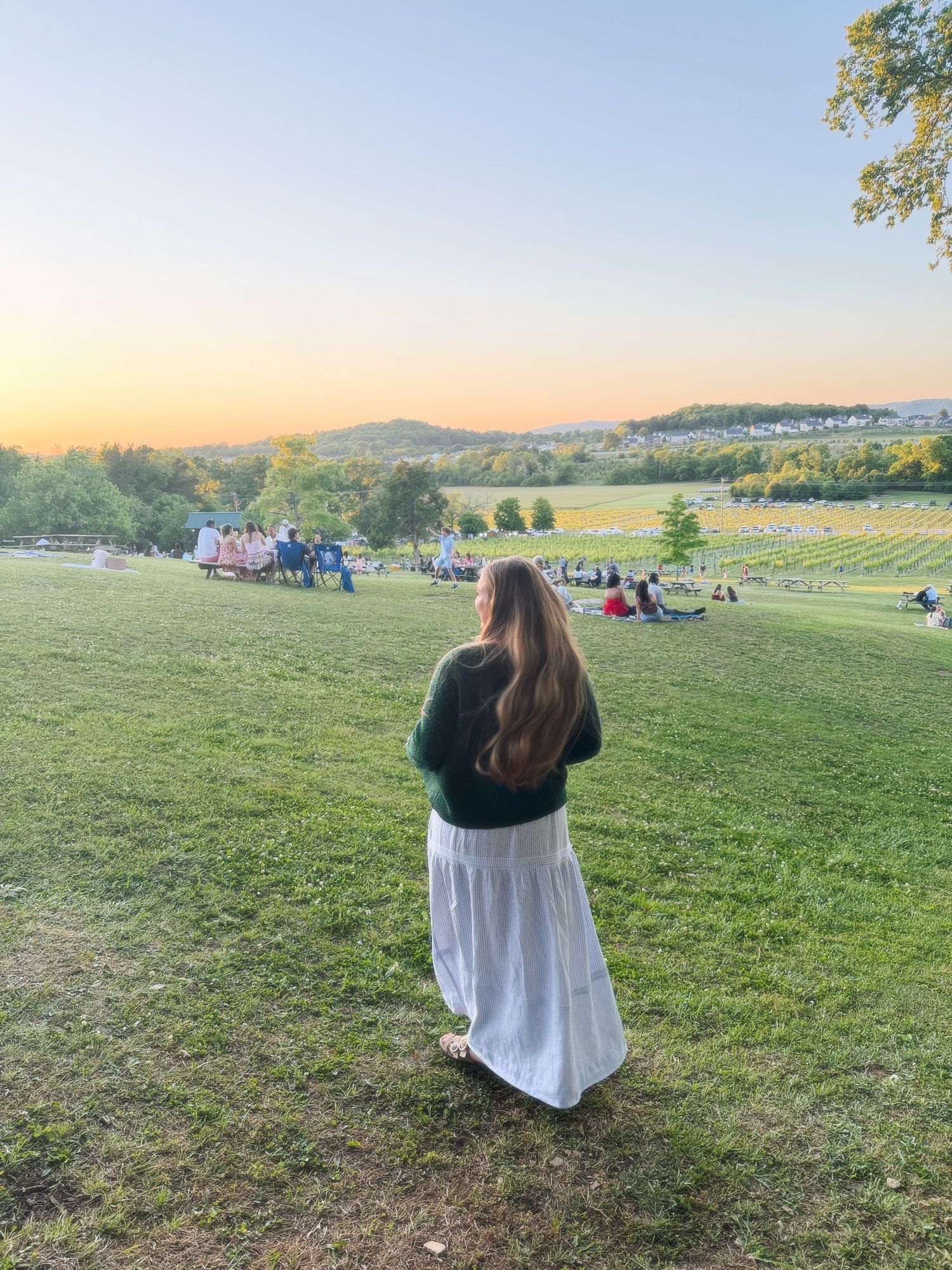 Woman in white skirt and green top stands on grassy hill watching golden sunset over vineyard.