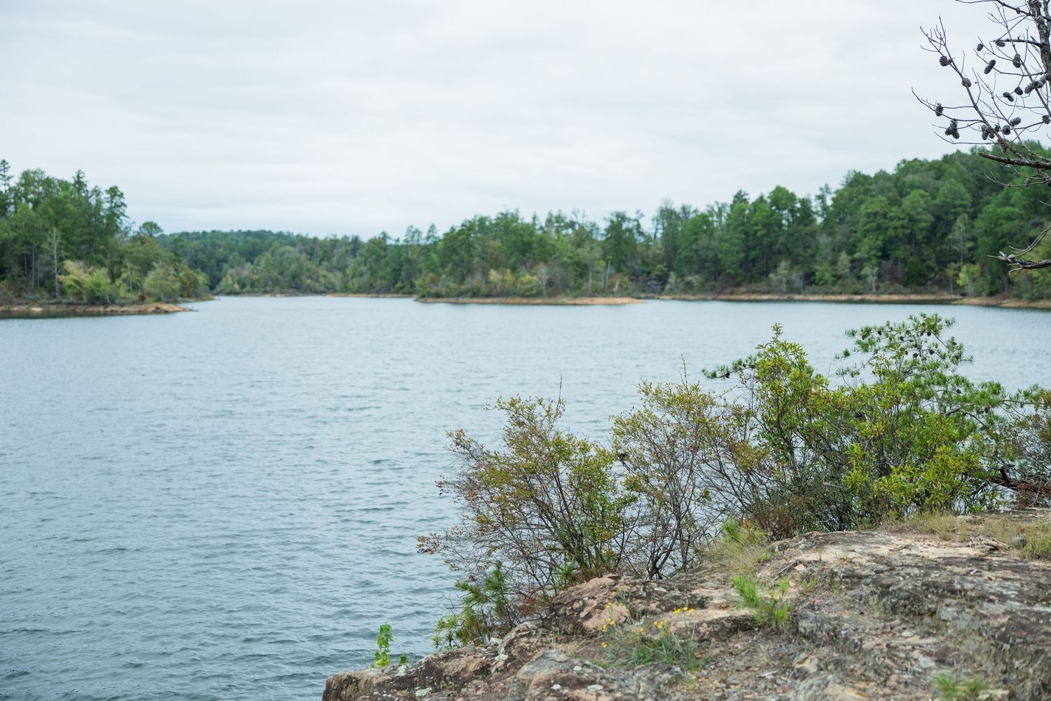 Scenic view of a calm lake bordered by pine trees and shrubs, with rocky shoreline in the foreground under an overcast sky.