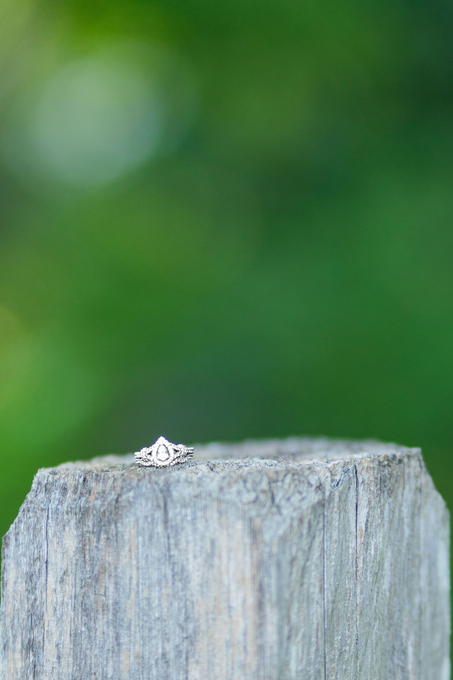 Silver diamond engagement ring resting on a weathered wooden post with a blurred green nature background.