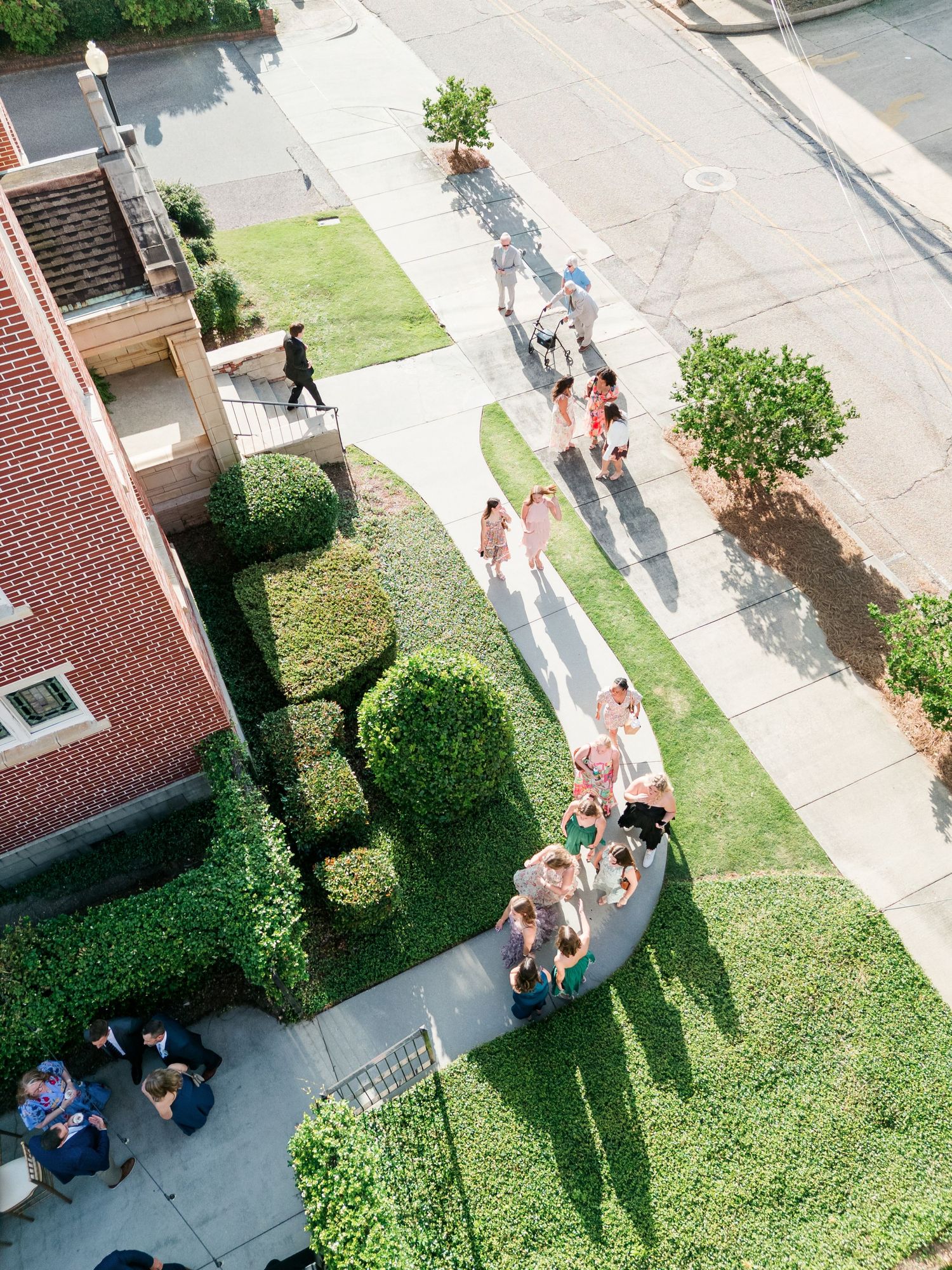Aerial view of wedding guests walking along a curved sidewalk path beside a brick building with manicured hedges.