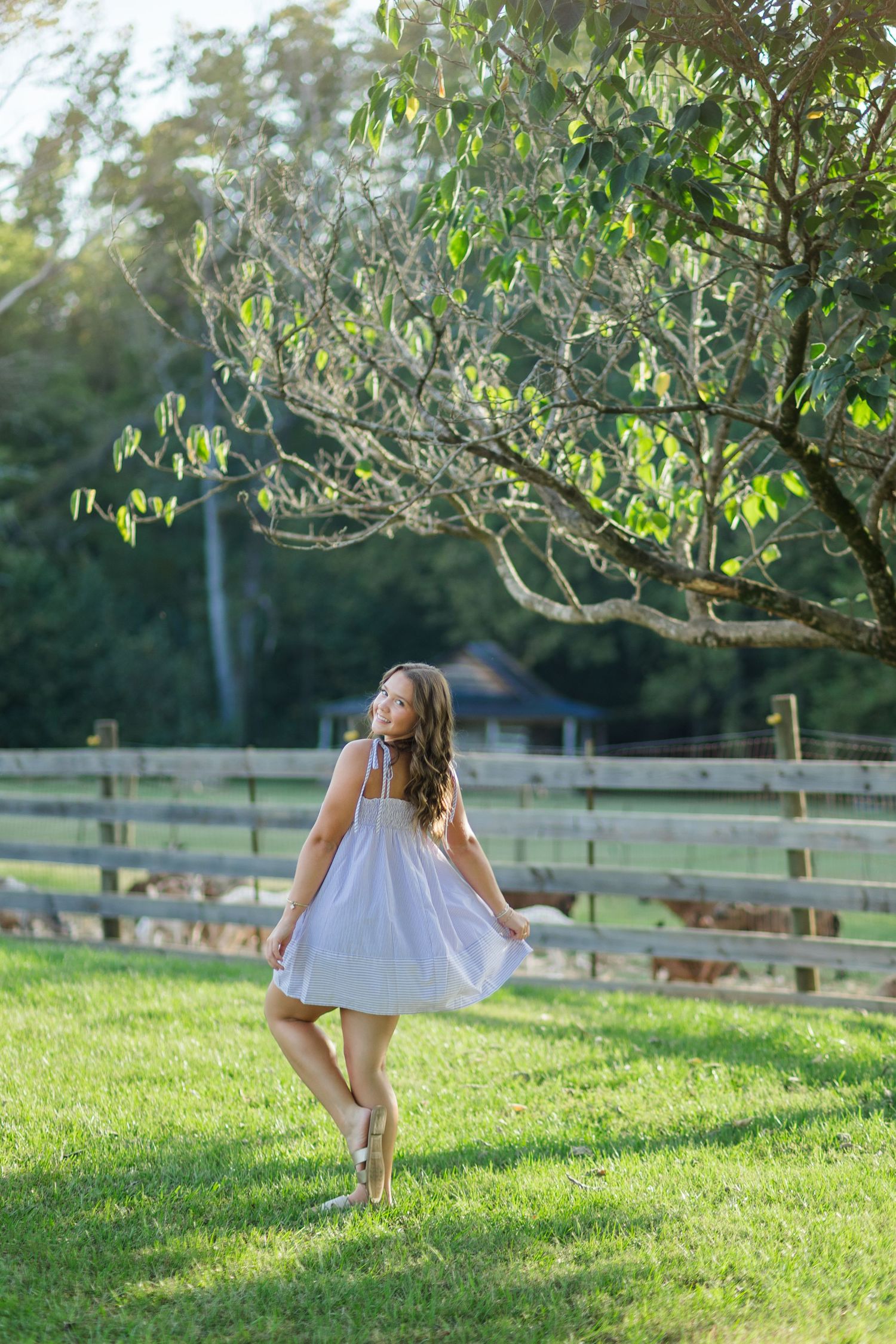 Young woman in white dress twirling on green grass near wooden fence and trees in golden sunlight.