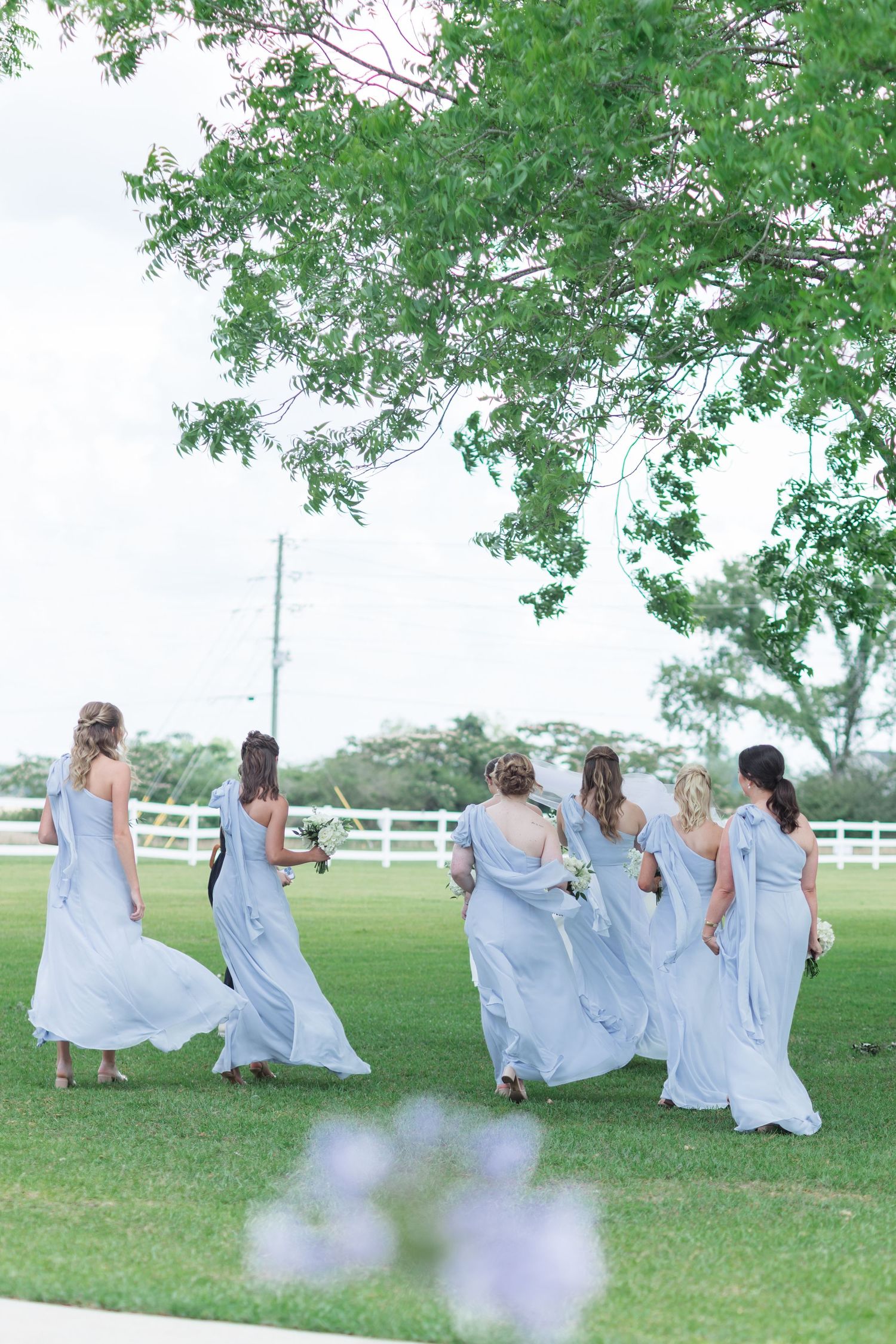 Bridesmaids in flowing light blue gowns walking across a green lawn at an outdoor wedding.