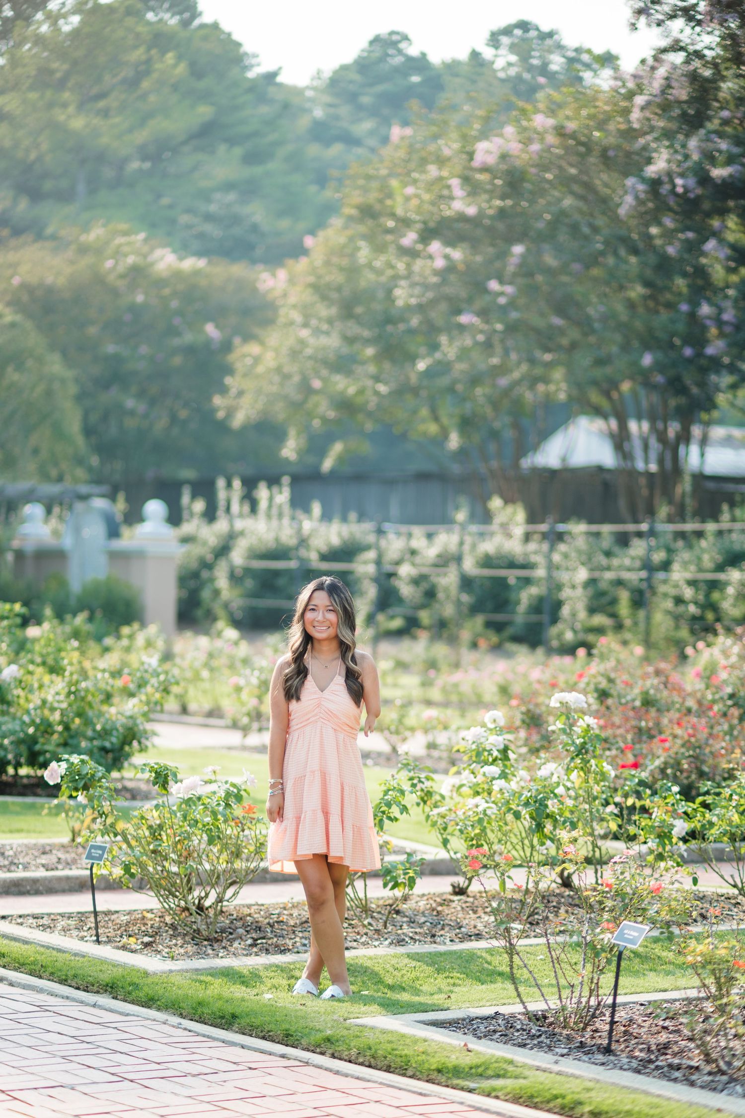 Young woman in pink dress standing in a formal rose garden on a sunny day.