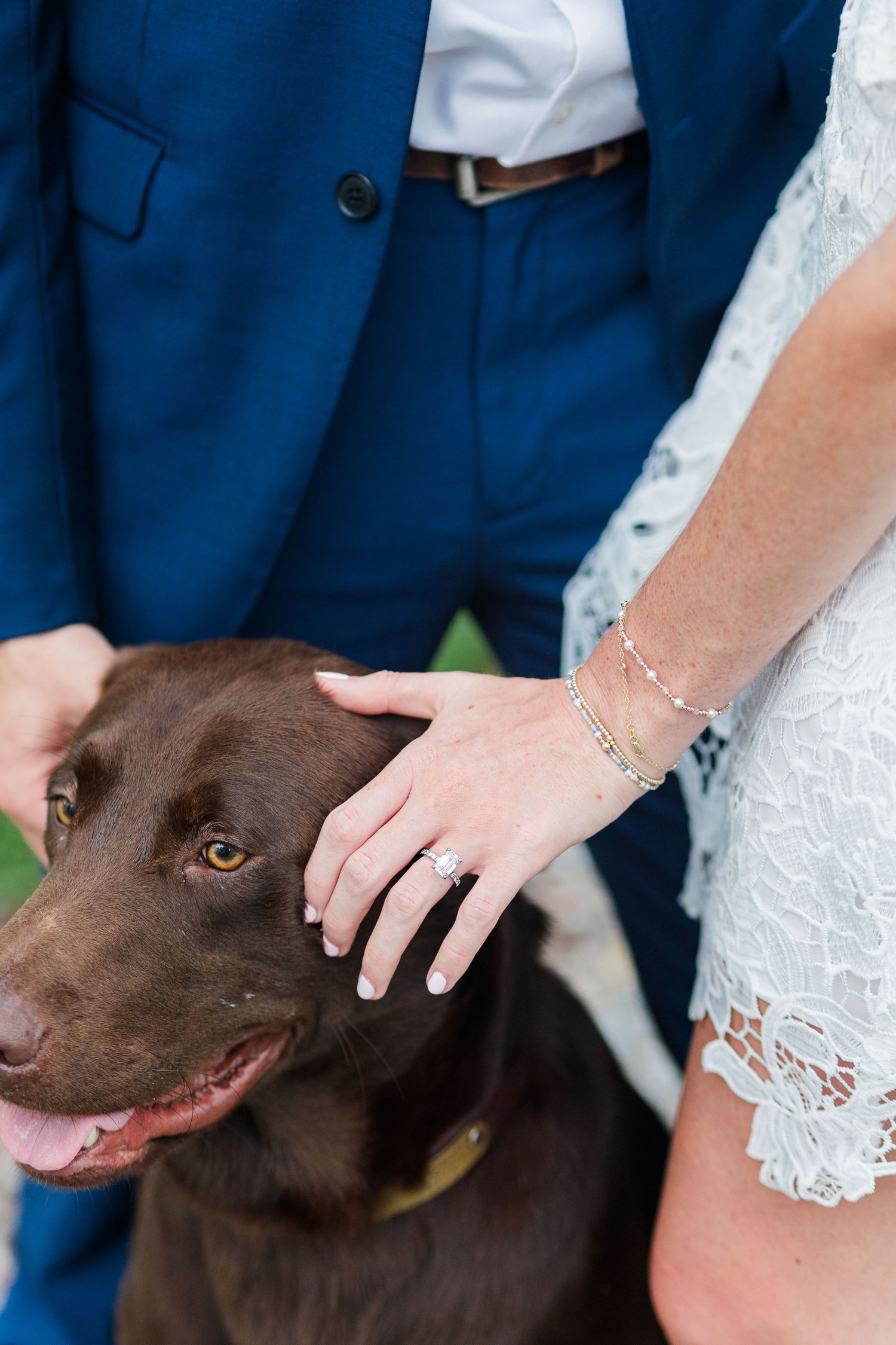 Close-up of bride's hand with engagement ring and bracelet petting a chocolate Labrador Retriever.
