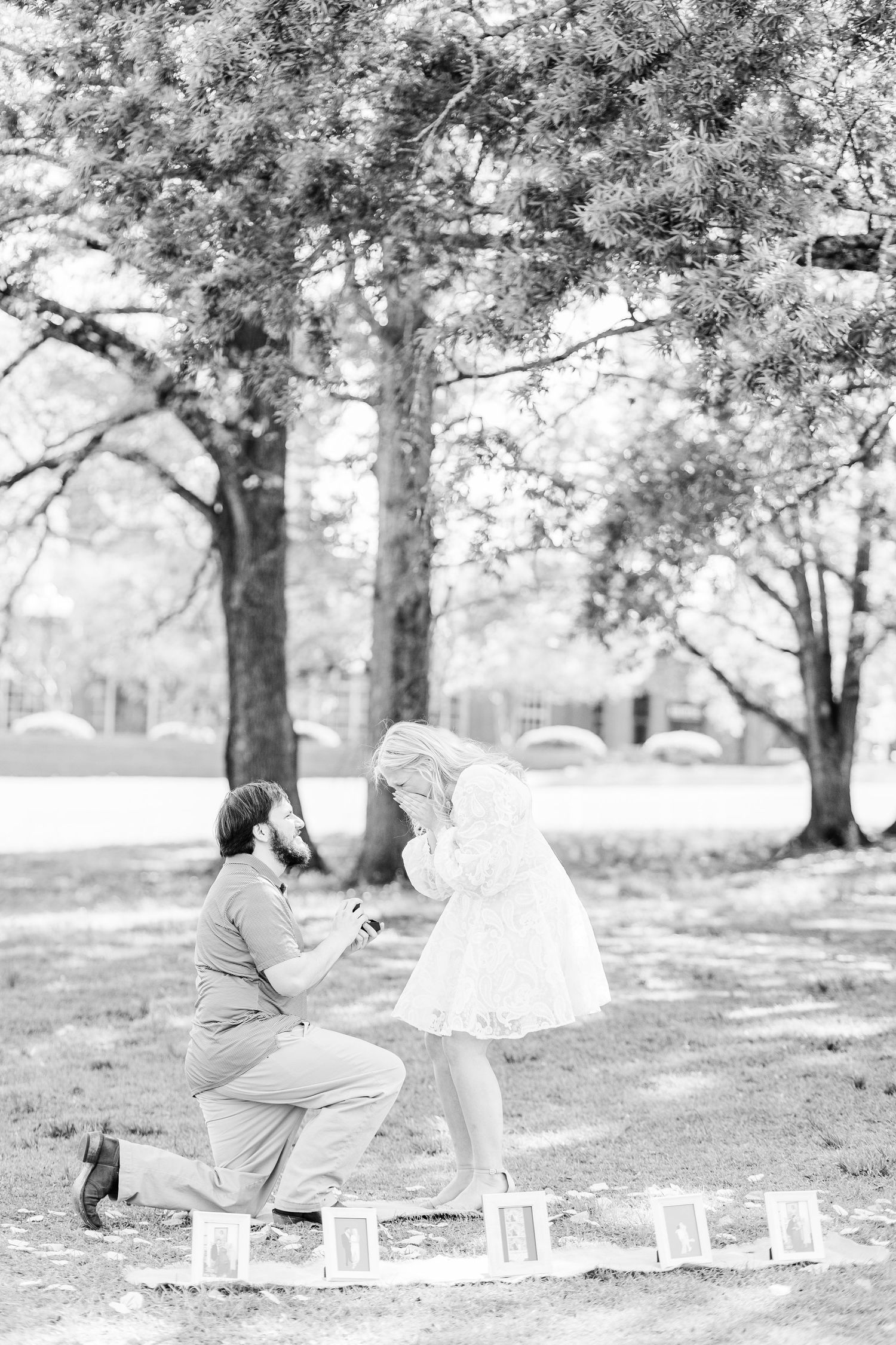 Black and white photo of romantic outdoor proposal under large trees in a park.