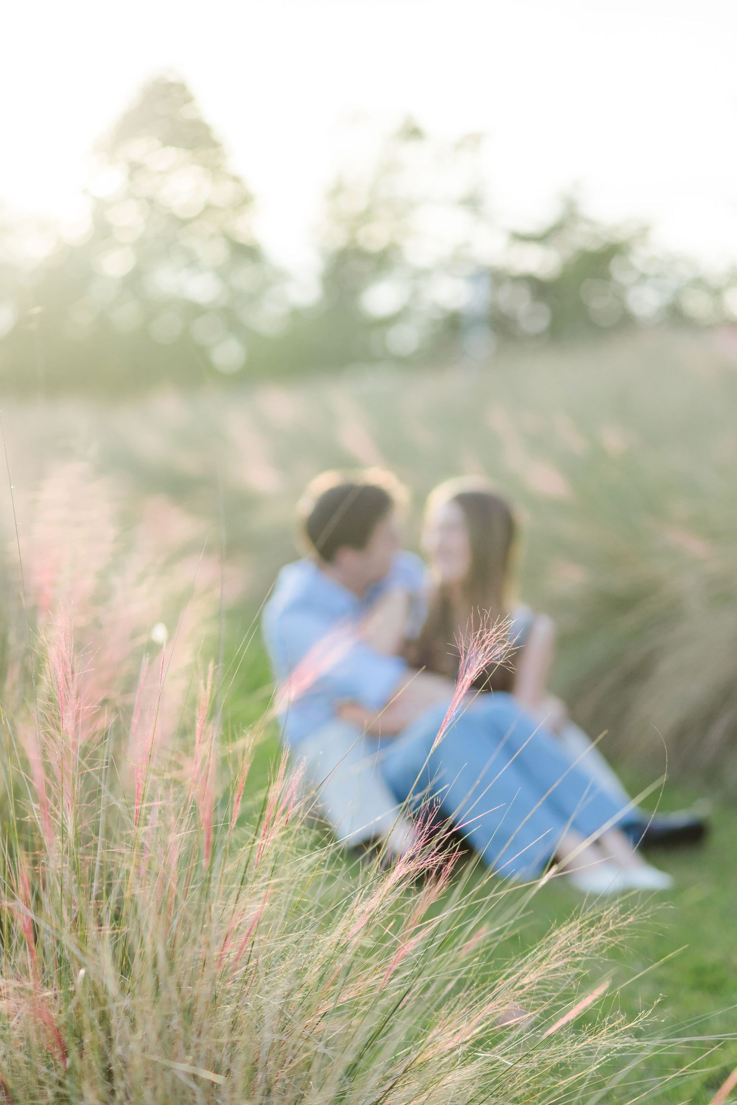 A soft-focus couple sits together in a sunlit field of pink ornamental grasses at golden hour.