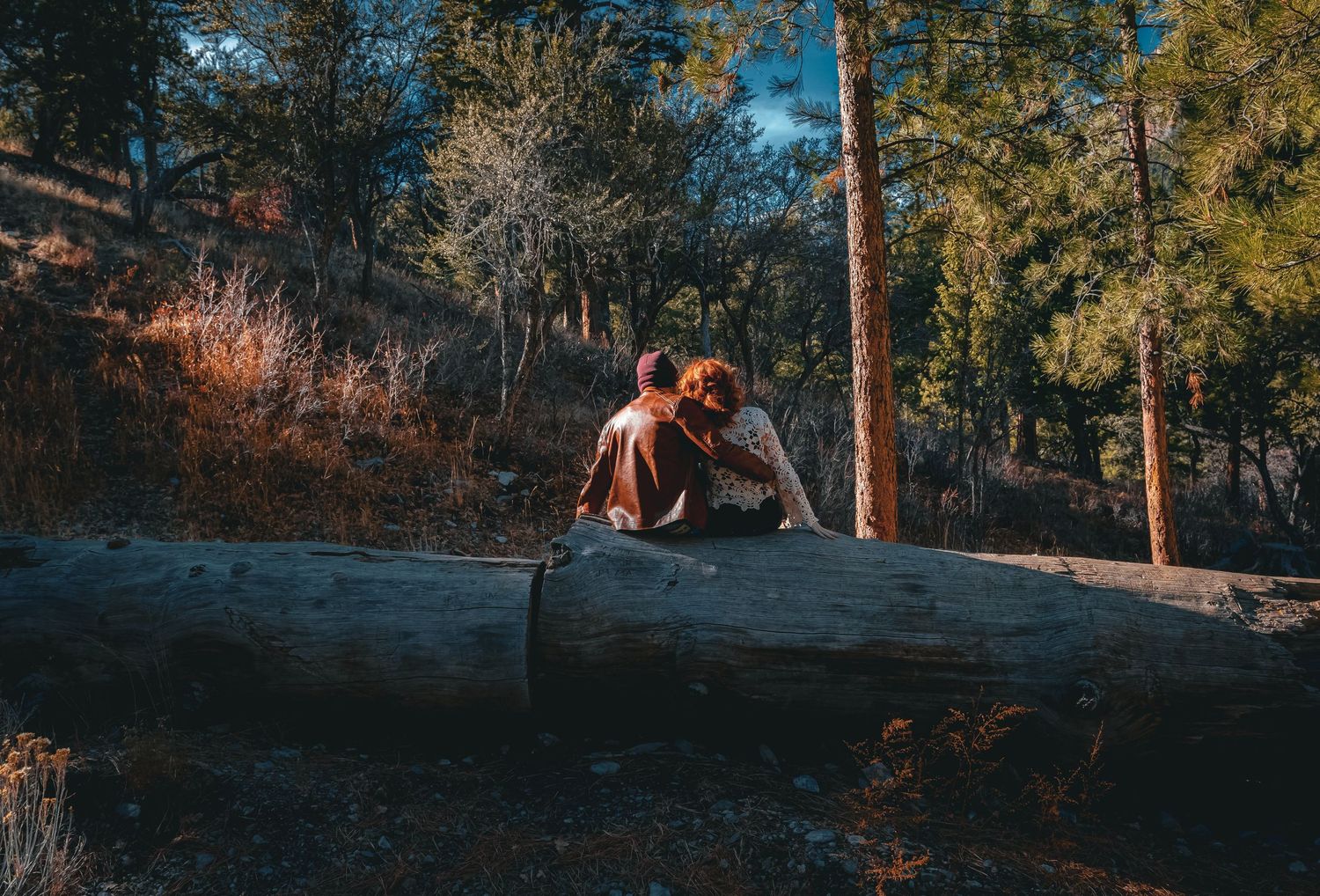 Couple sitting together on a fallen log in a sunlit forest, surrounded by pine trees and autumn foliage.