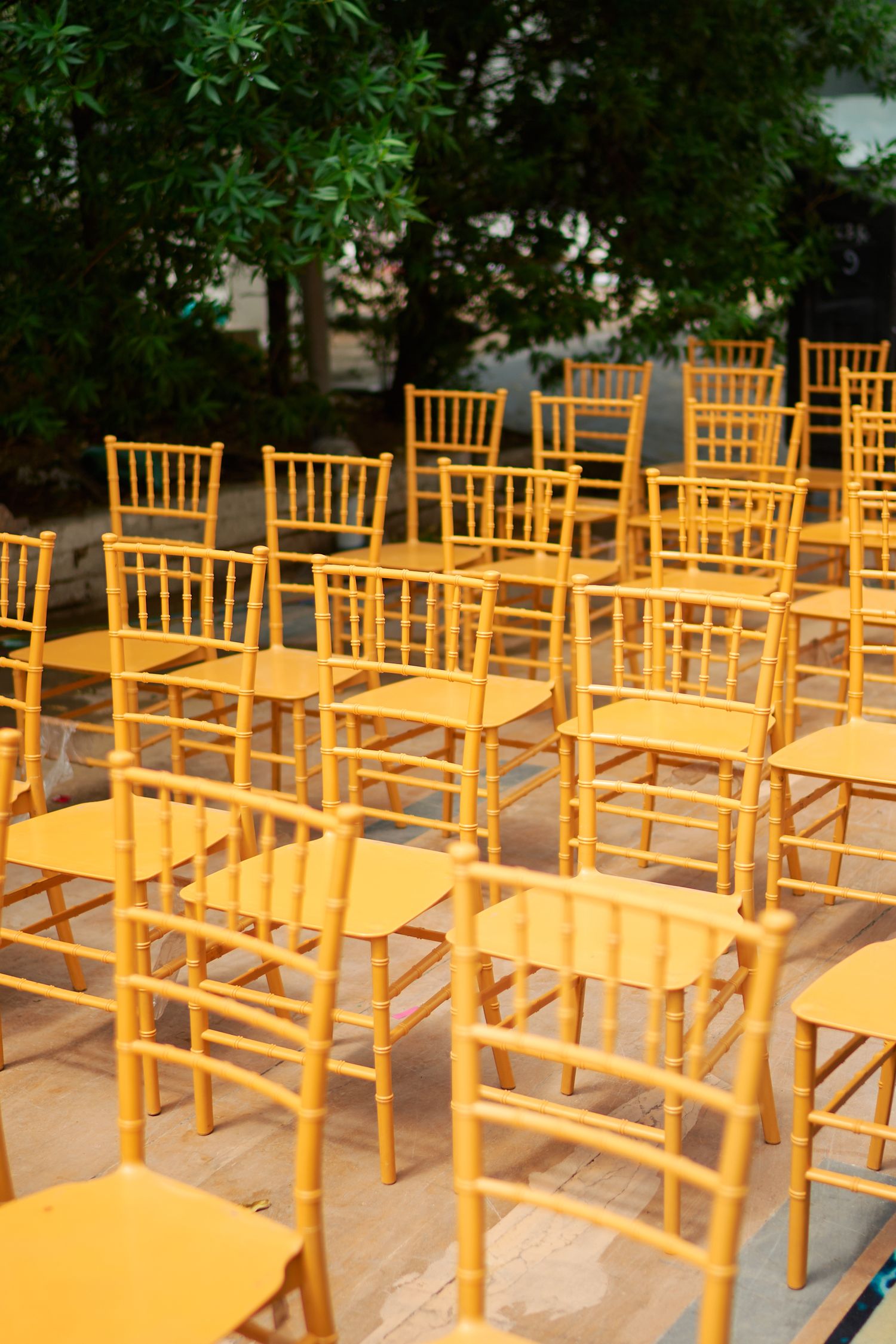 Golden chiavari chairs arranged in rows outdoors under green trees for a wedding ceremony.