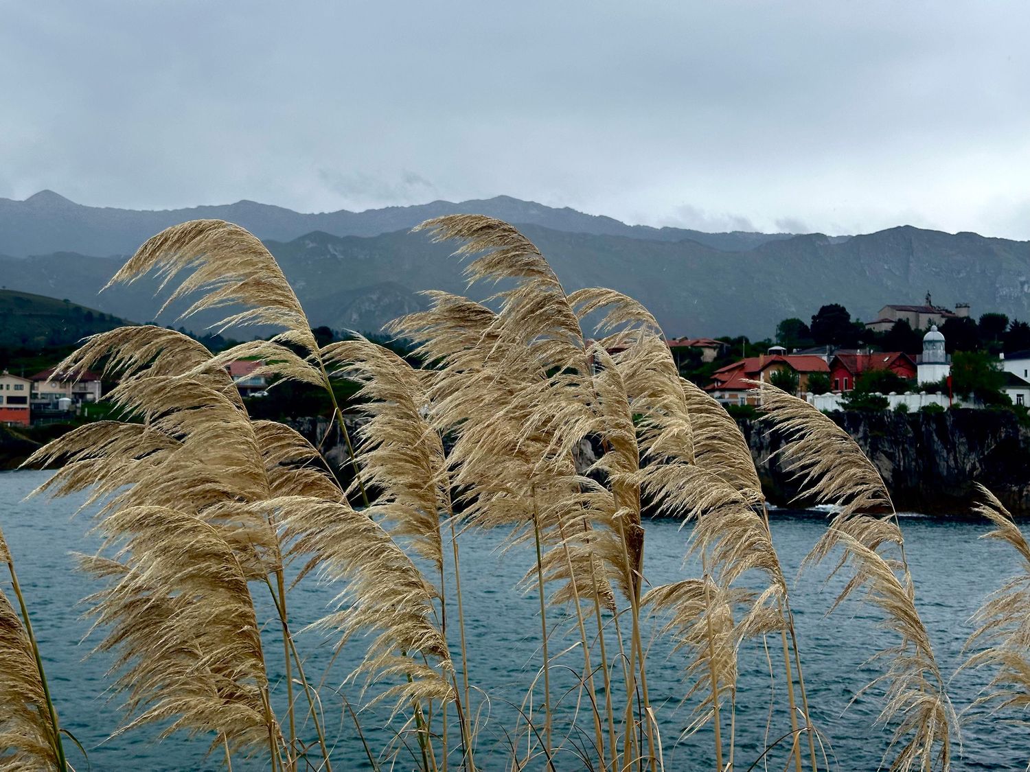 Golden pampas grass sways in the wind beside a blue ocean with mountains and a village in Spain in the background.