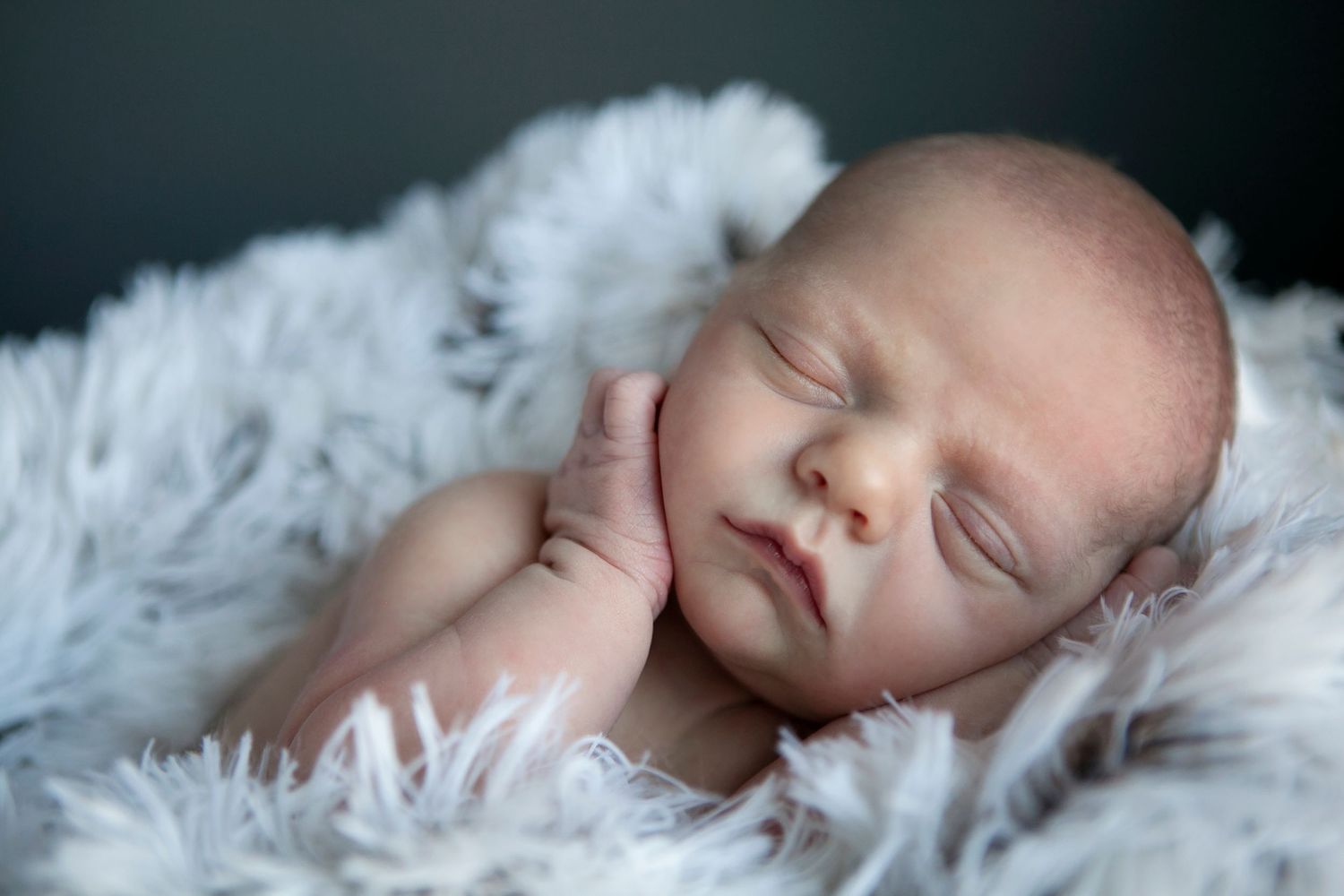 Newborn photography Daytona Beach