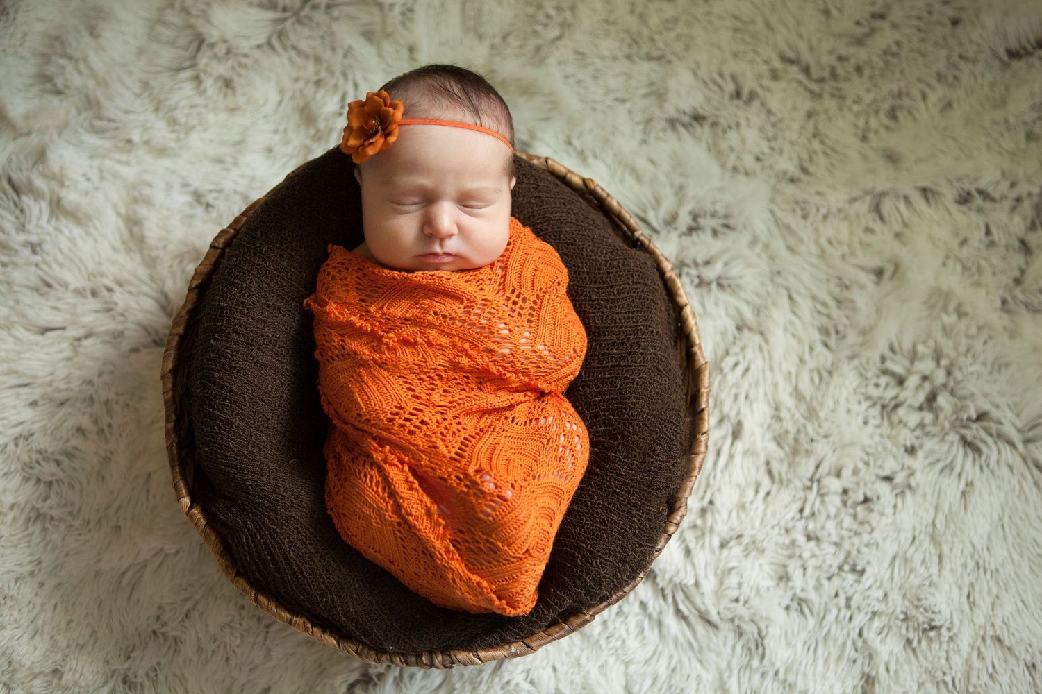 Newborn photography Daytona Beach