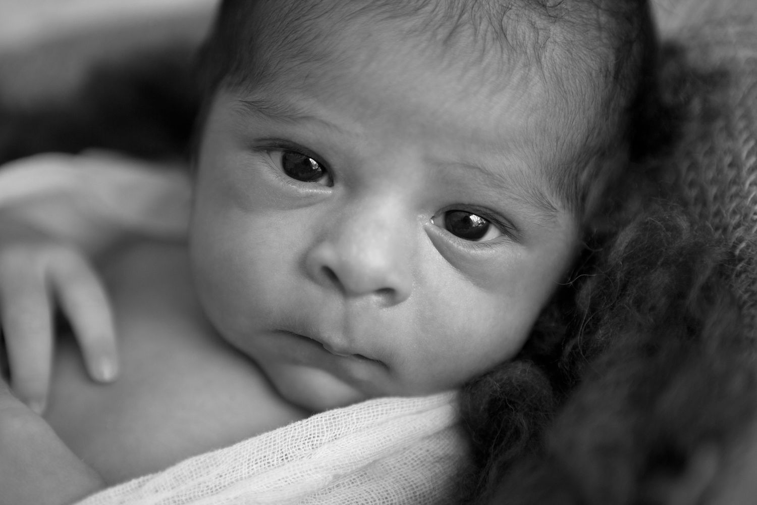 Newborn Photographer Daytona Beach