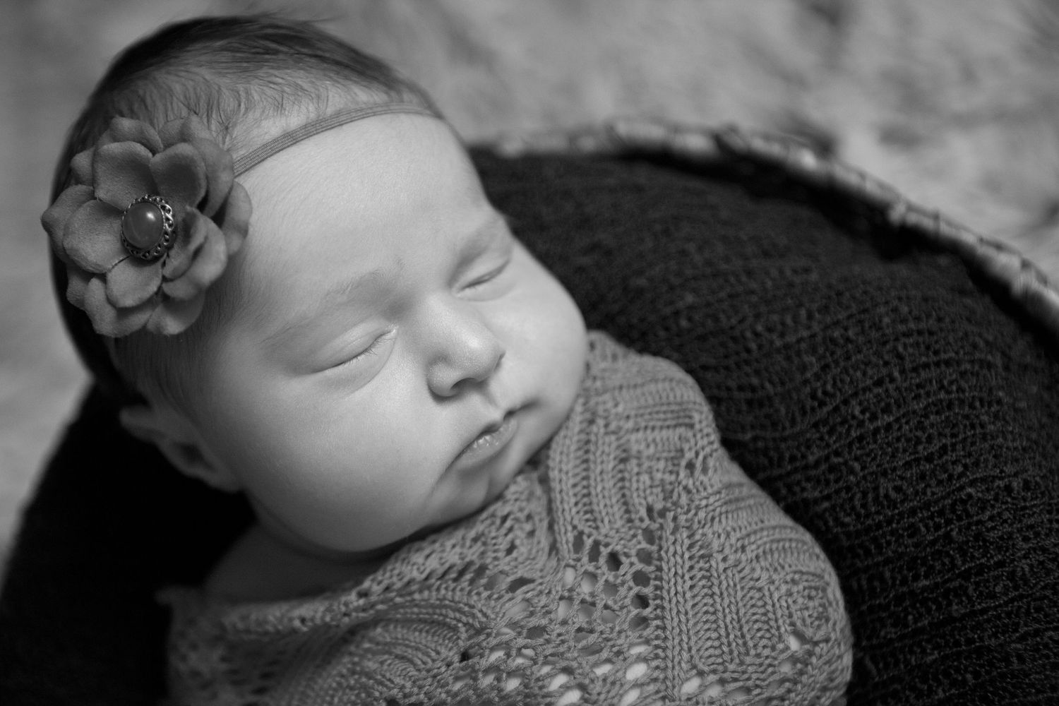 Newborn Photographer Daytona Beach