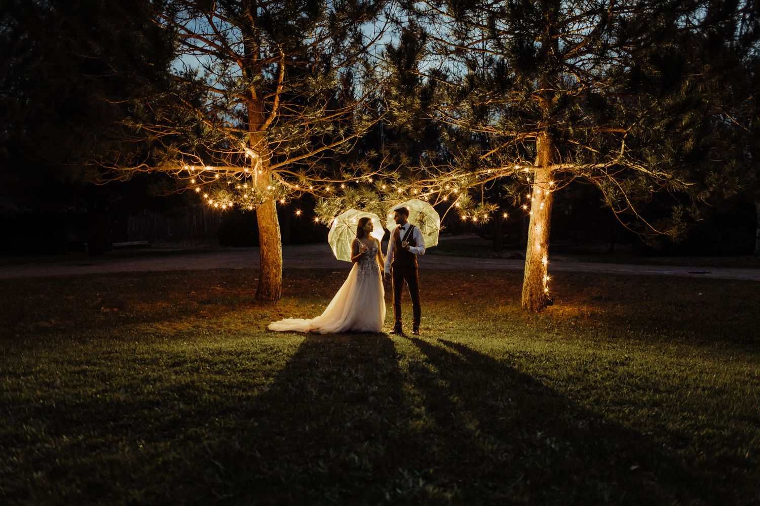 A bide and groom holding clear umbrellas in the rain, under two pine trees with twinkle lights, back lit witha flash.