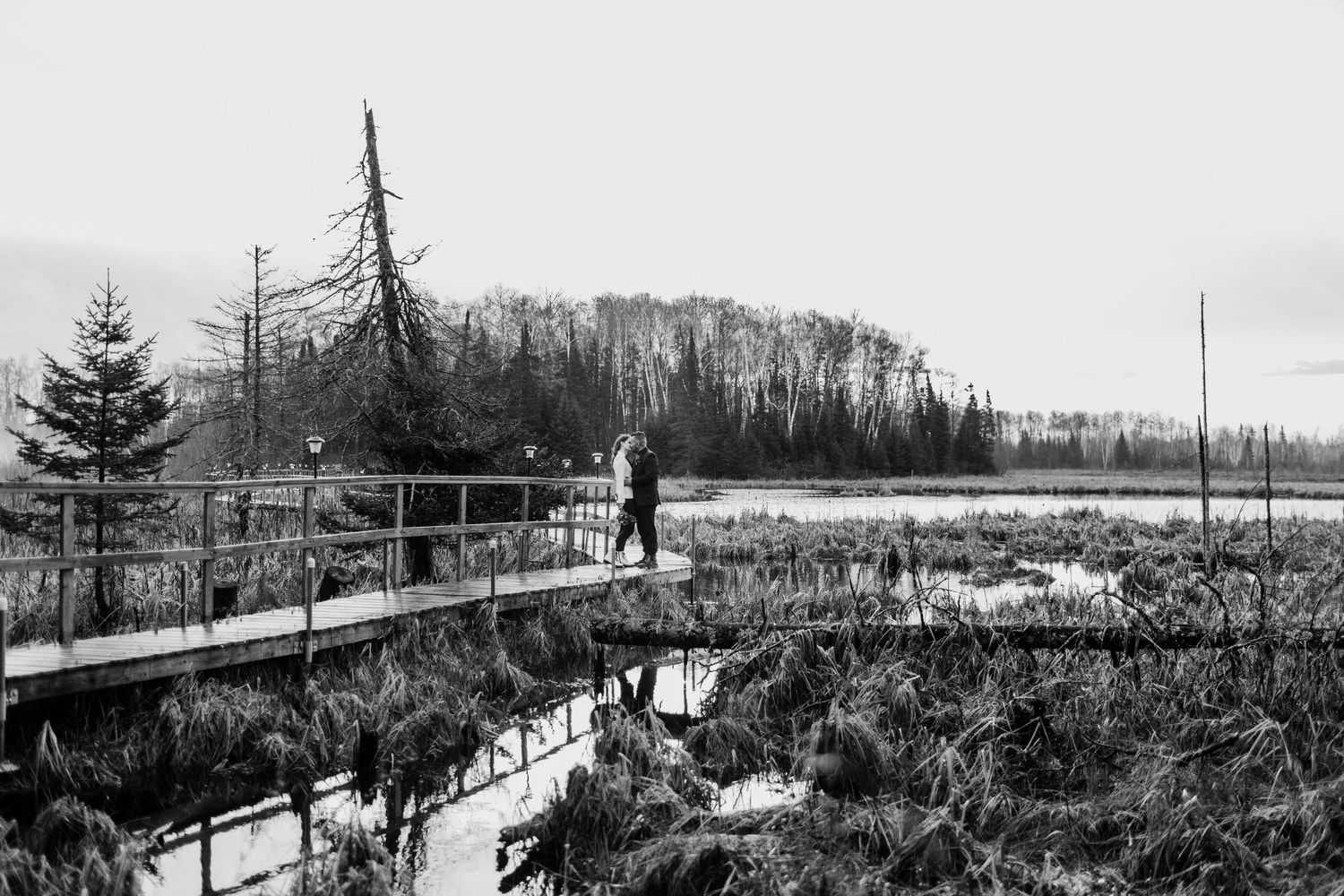 Bride and groom standing on a floating dock over water with a pine tree. In Black and White