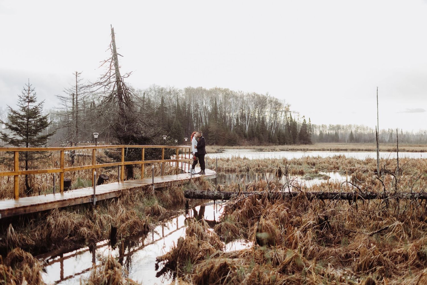 Bride and groom standing on a floating dock over water with a pine tree. There is some fog in the background.