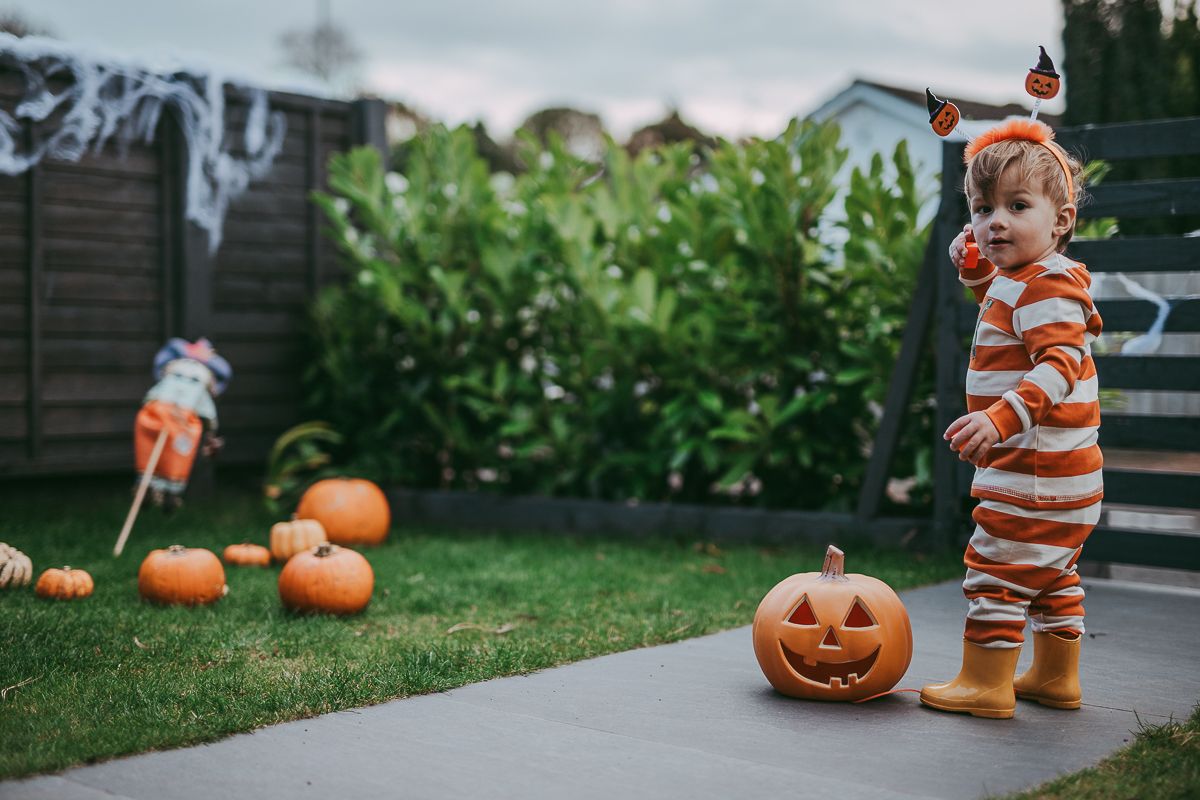 Small child  playing in the garden with carved pumpkins, Halloween family photography.