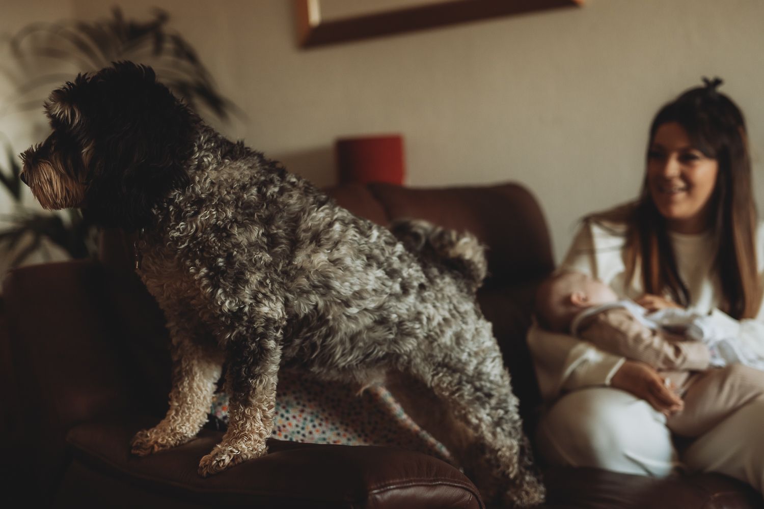 Natural light family photographer in Dundee and Angus capturing real moments during a home photoshoot