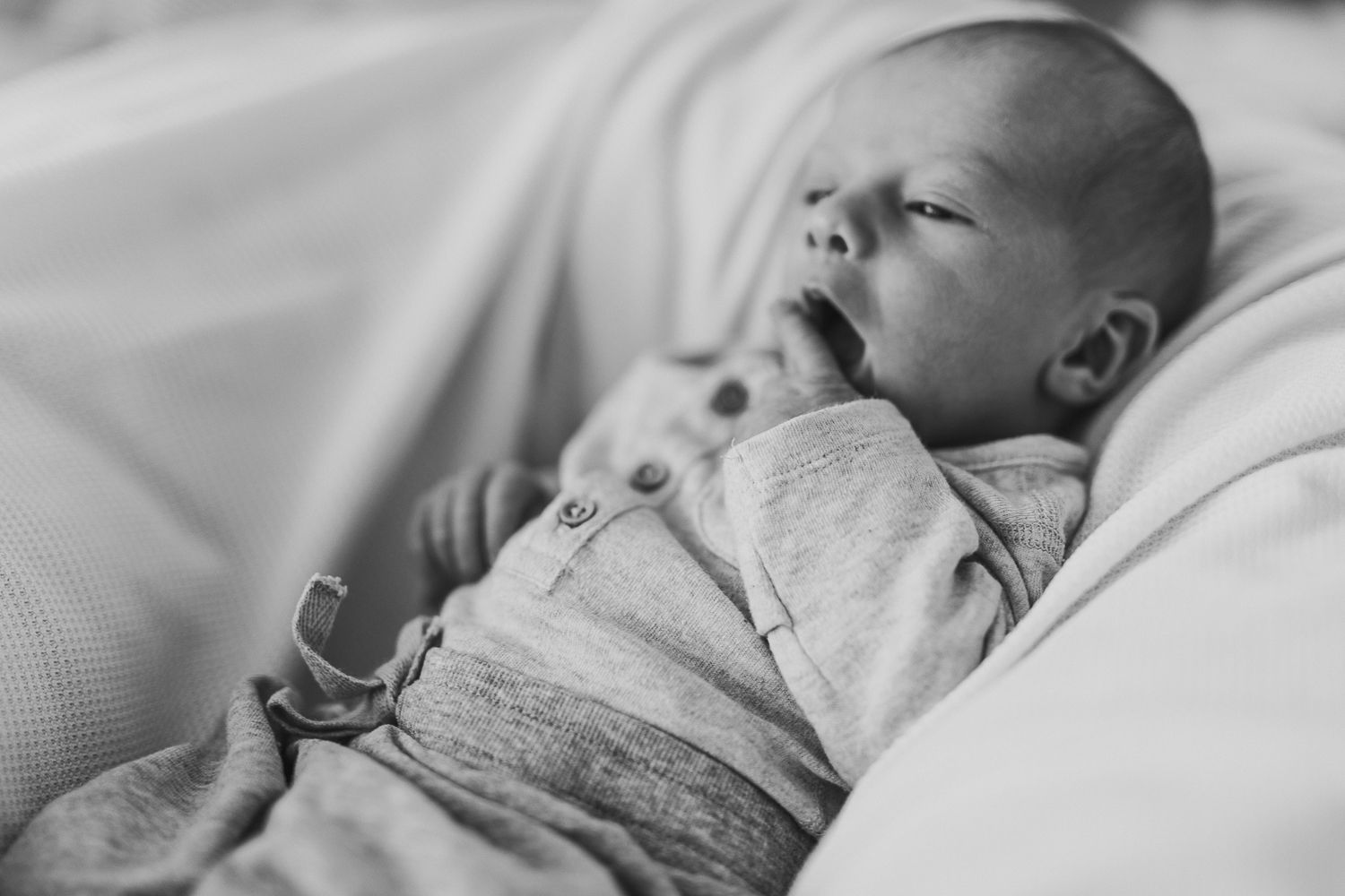 Black and white portrait of a baby during natural family photography session