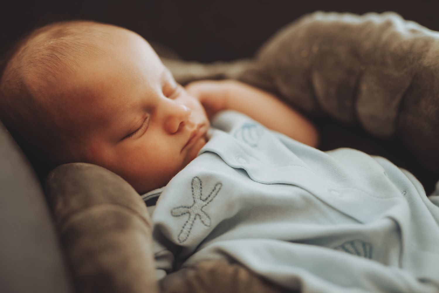 Portrait of a sleeping baby during natural family photography session