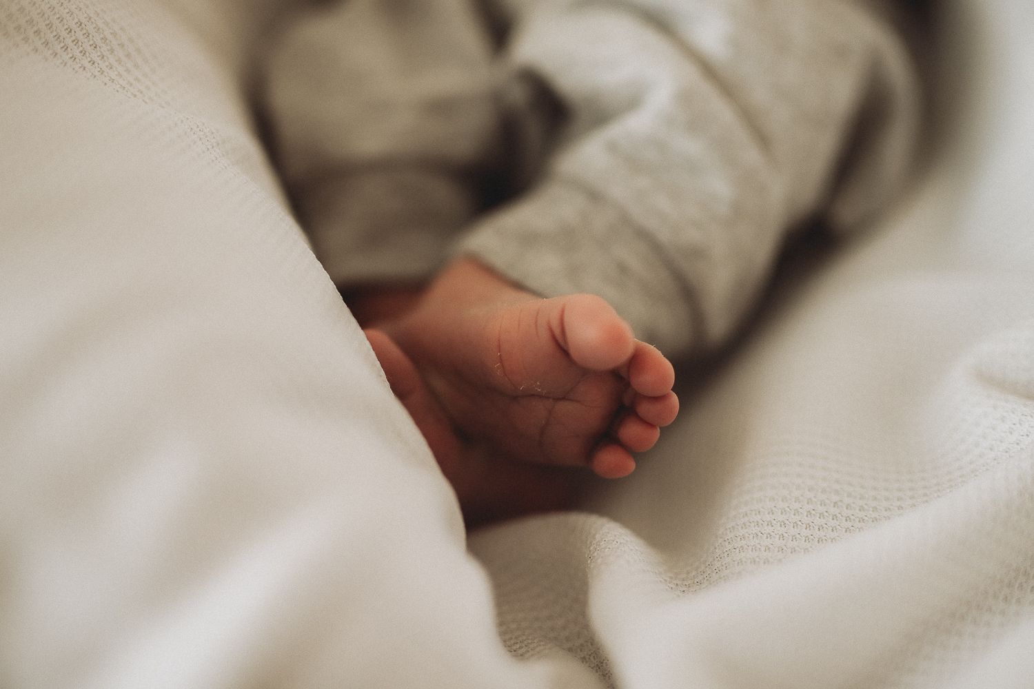 Baby feet during natural family photography session