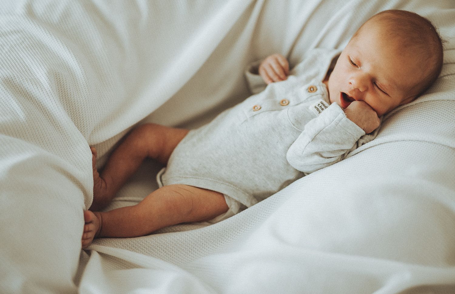 Portrait of a baby during natural family photography session