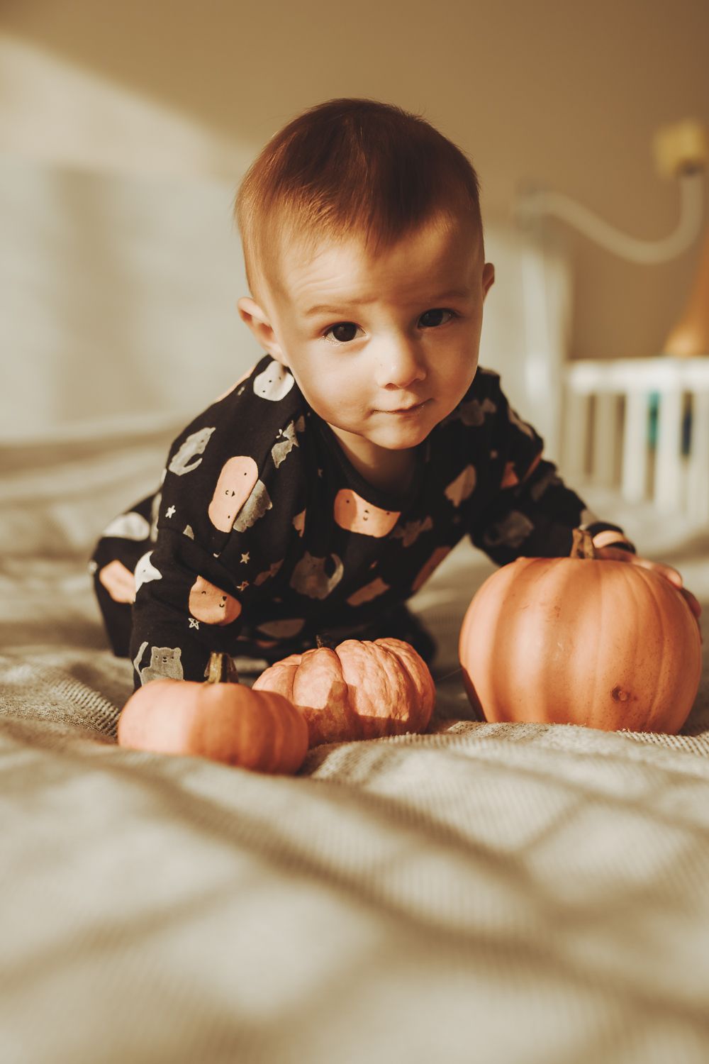 A Halloween themed portrait of a baby during a  natural family photography session
