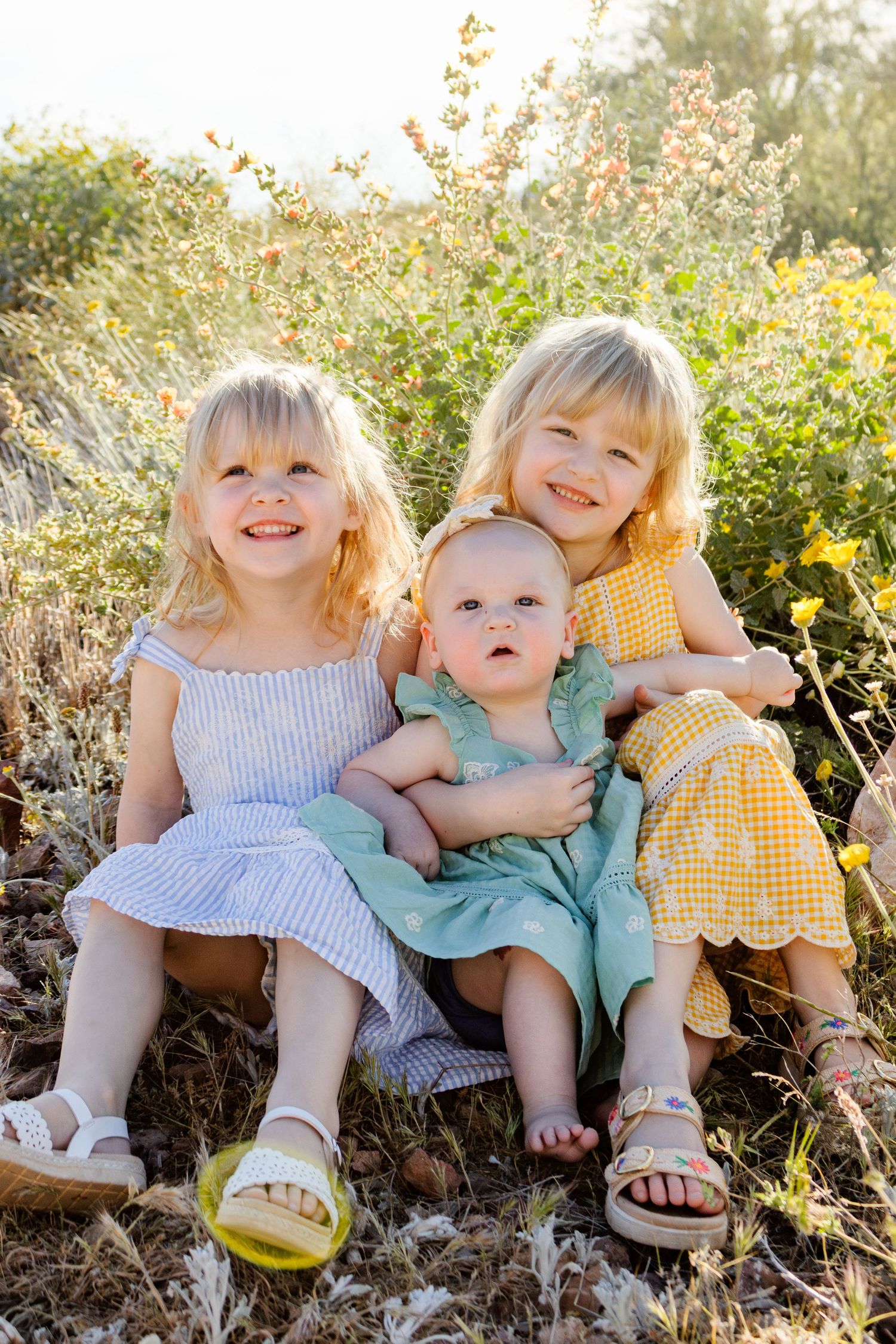 family photo in the AZ wildflowers. Photo of sisters on the peralta trail in San Tan Valley and Gold Canyon Arizona. Light, airy, natural