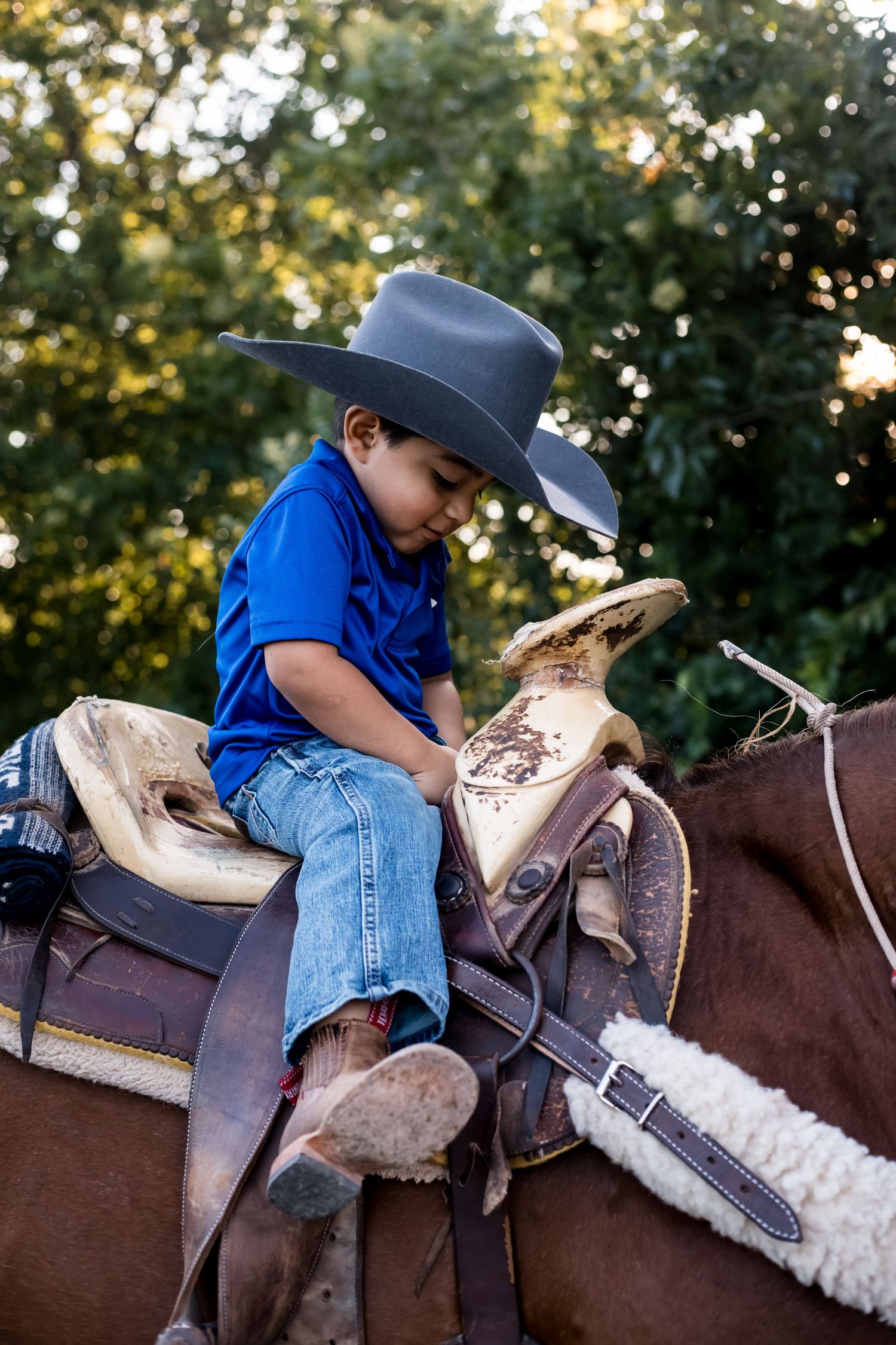 Young boy in cowboy hat and blue shirt sits atop a brown horse in a decorative western saddle outdoors.