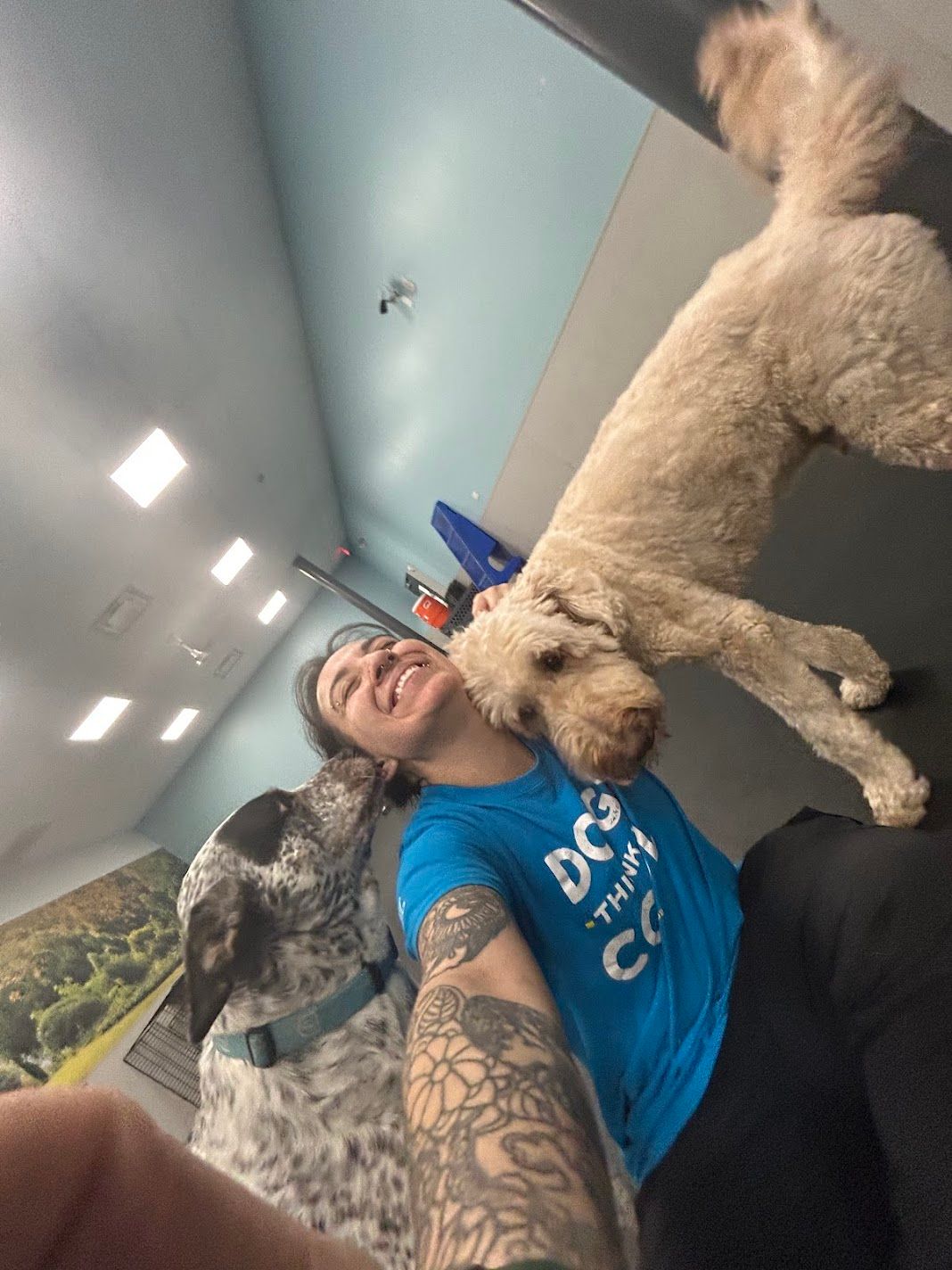 Laughing tattooed woman in blue Dog Training shirt with two playful dogs jumping around her.