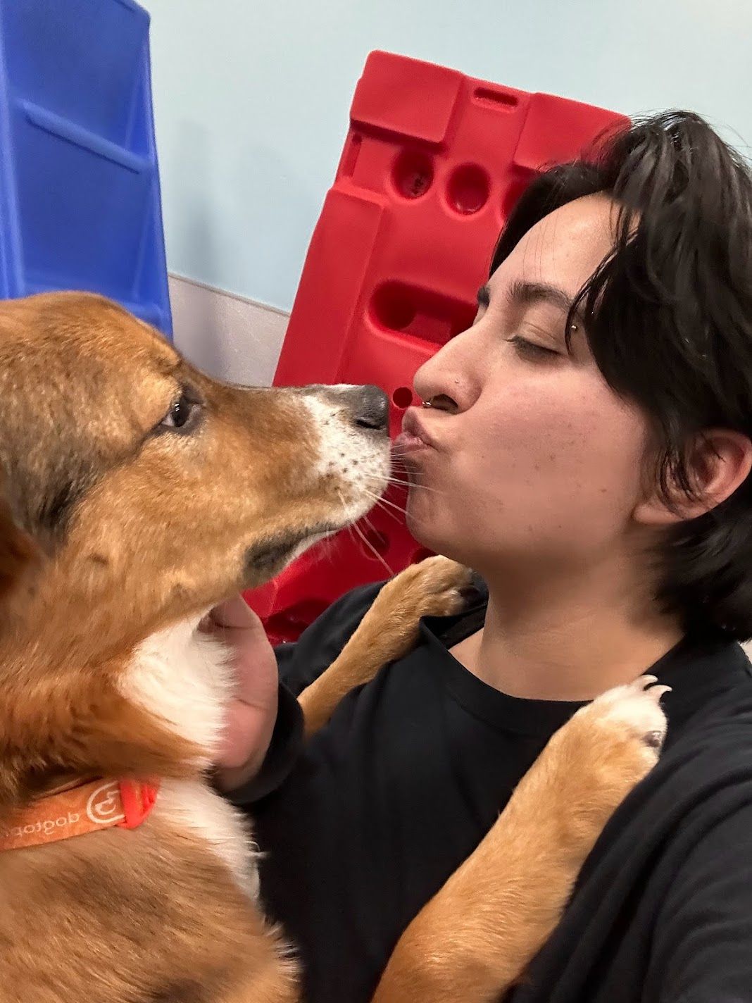 Young man sharing a kiss with an adorable golden-brown dog while holding it in a colorful play area.