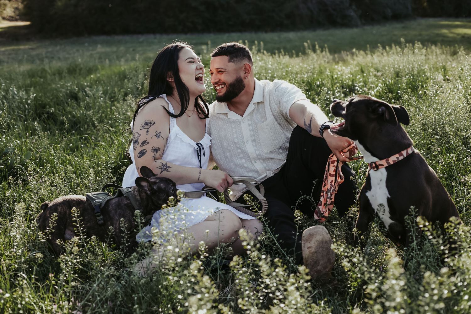 Couple laughing together in a sunny field with two black dogs on leashes during an outdoor engagement photo session.