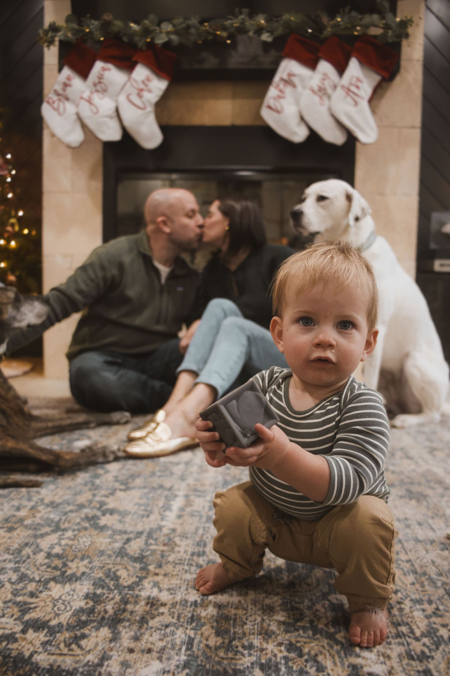 Toddler holds gift near fireplace with Christmas stockings as parents kiss and white dog sits behind.
