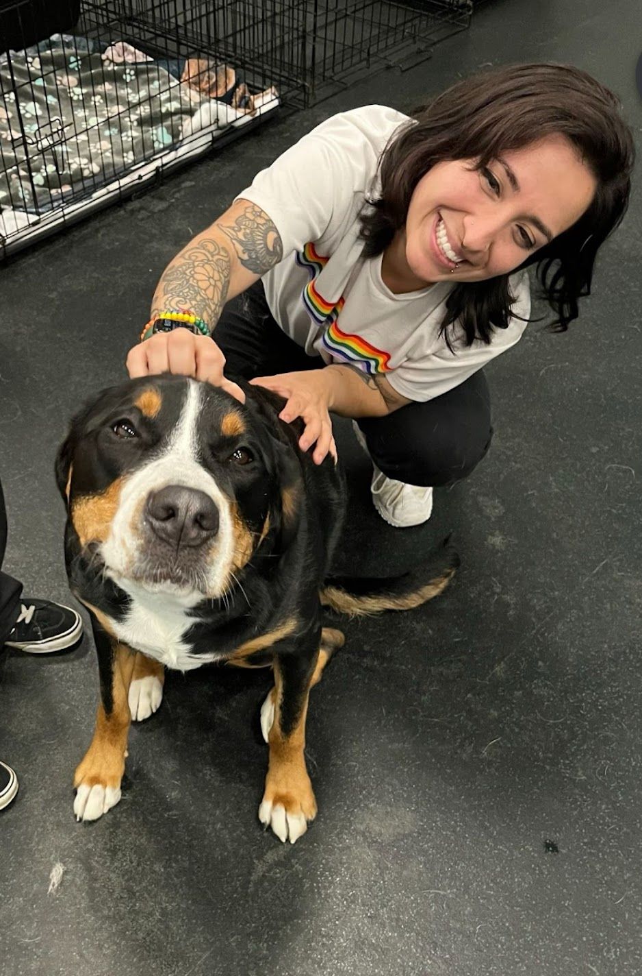 Smiling woman with rainbow pin and tattoo petting large tri-color Greater Swiss Mountain Dog.