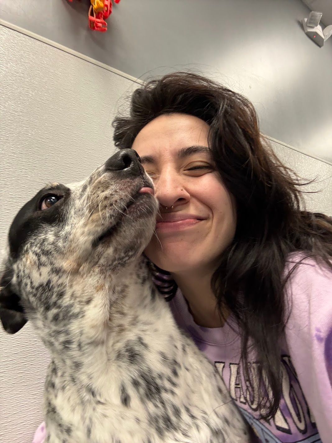 A woman smiles as a spotted black and white dog gives her a kiss on the cheek indoors.