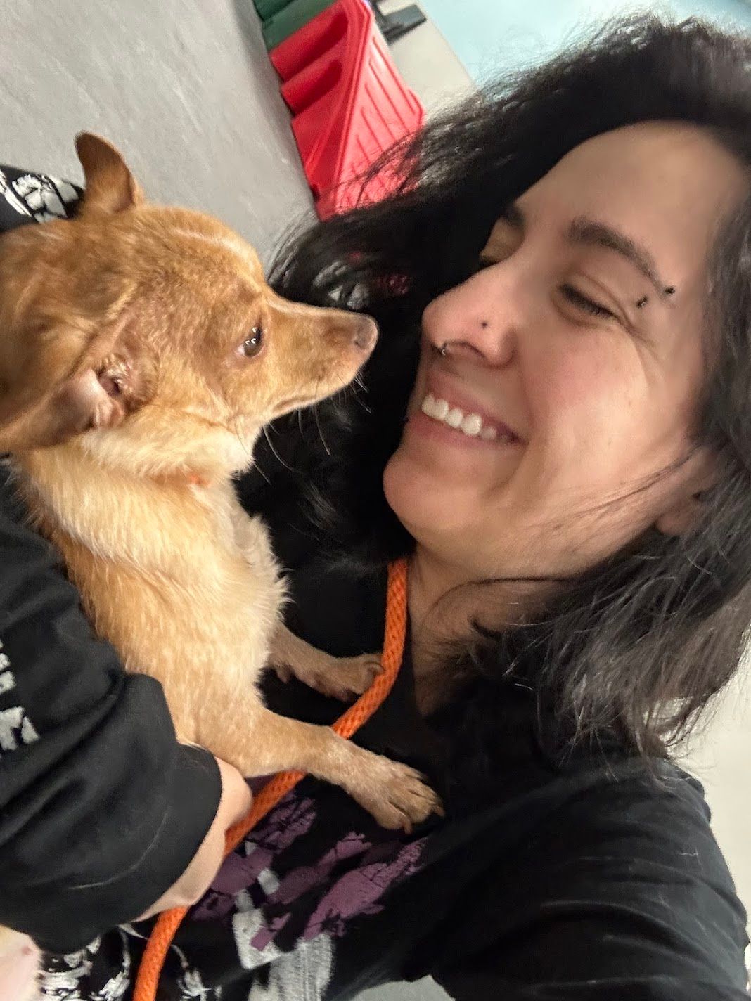 Smiling dark-haired woman holding small Chihuahua dog close to her face indoors.