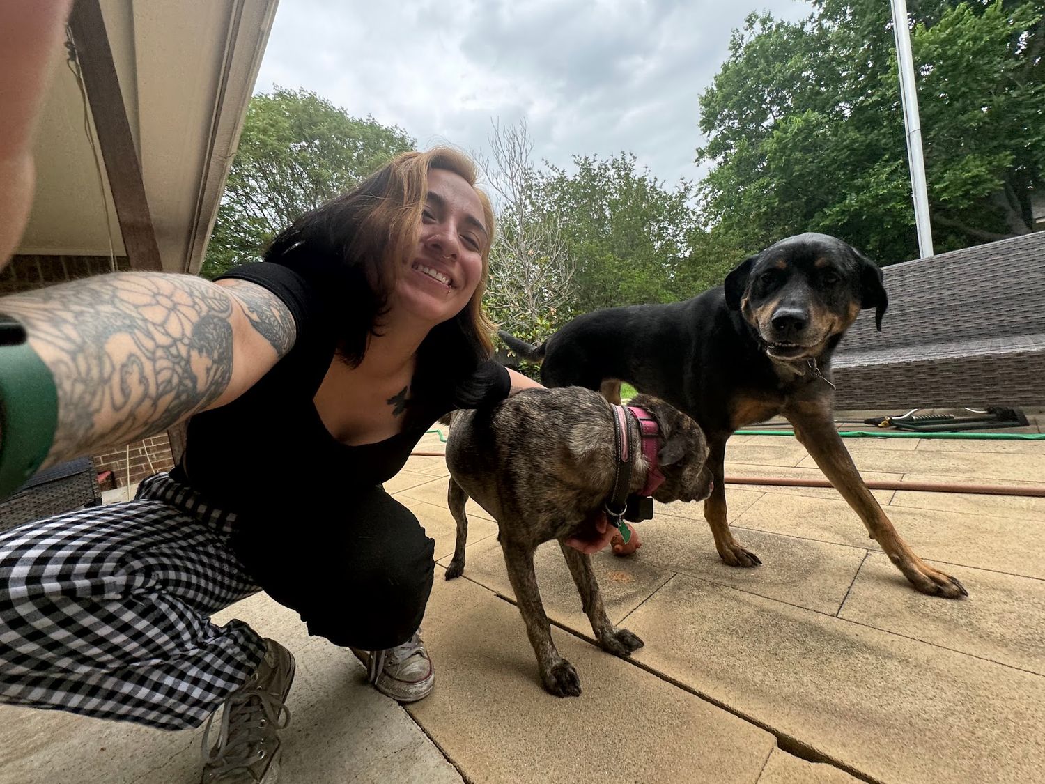 Smiling tattooed woman taking selfie with two dogs outdoors on a sunny day.