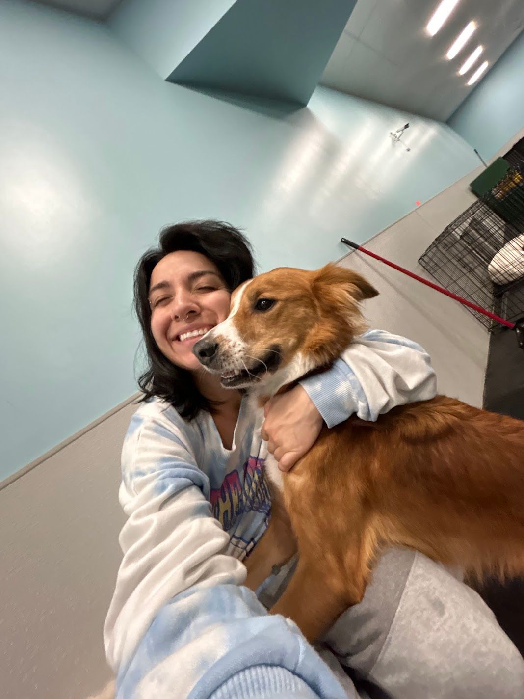 Smiling young woman hugging a golden-brown dog while sitting on the floor in a light blue room.