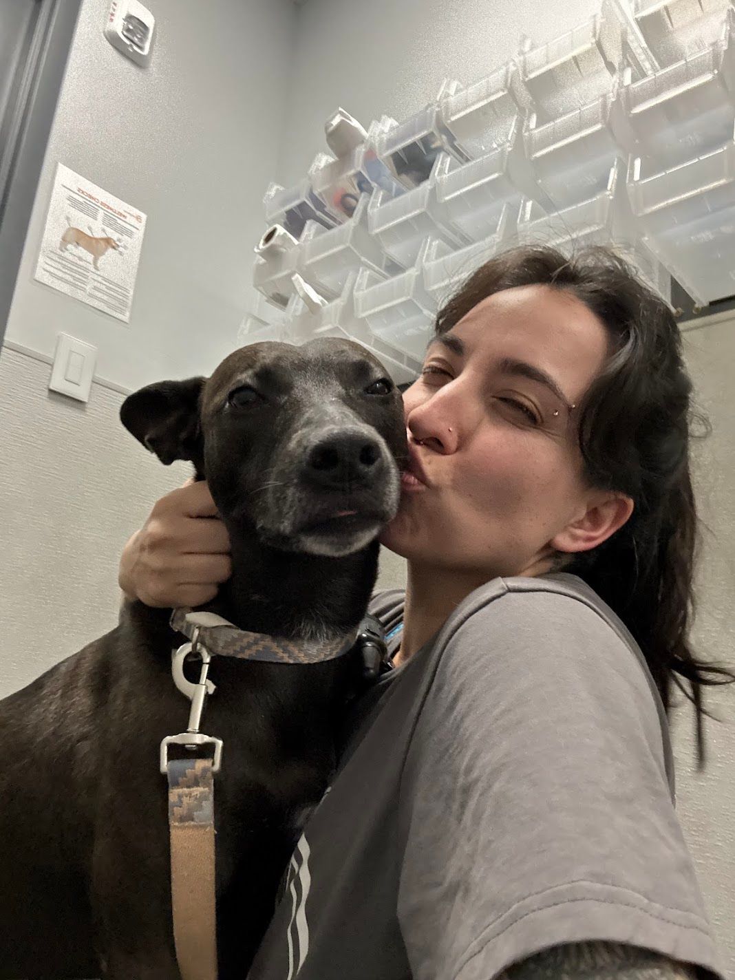 Young woman kissing a dark brown dog on the head while holding it close in an indoor shelter setting.