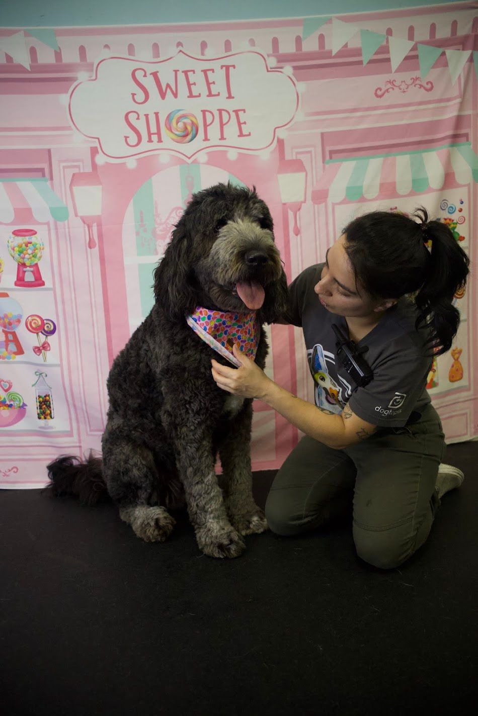 Woman adjusting a bandana on a large fluffy black dog in front of a Sweet Shoppe backdrop.