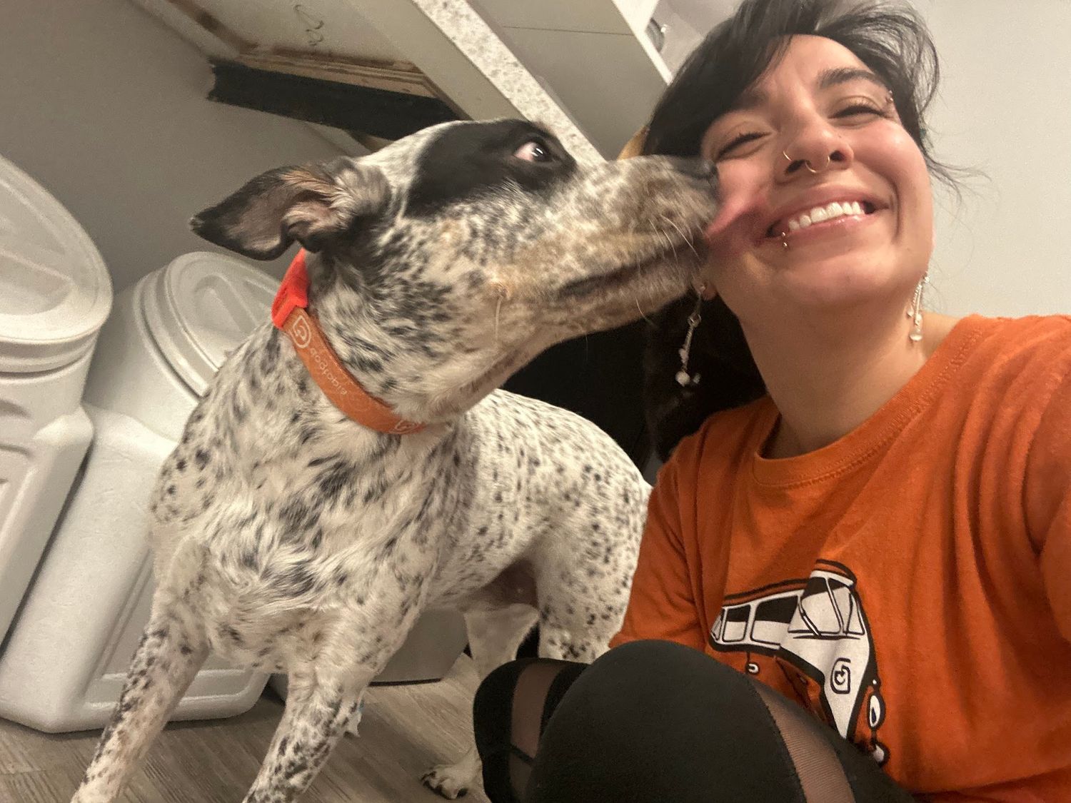 A happy woman takes a selfie with a spotted dog licking her cheek indoors.