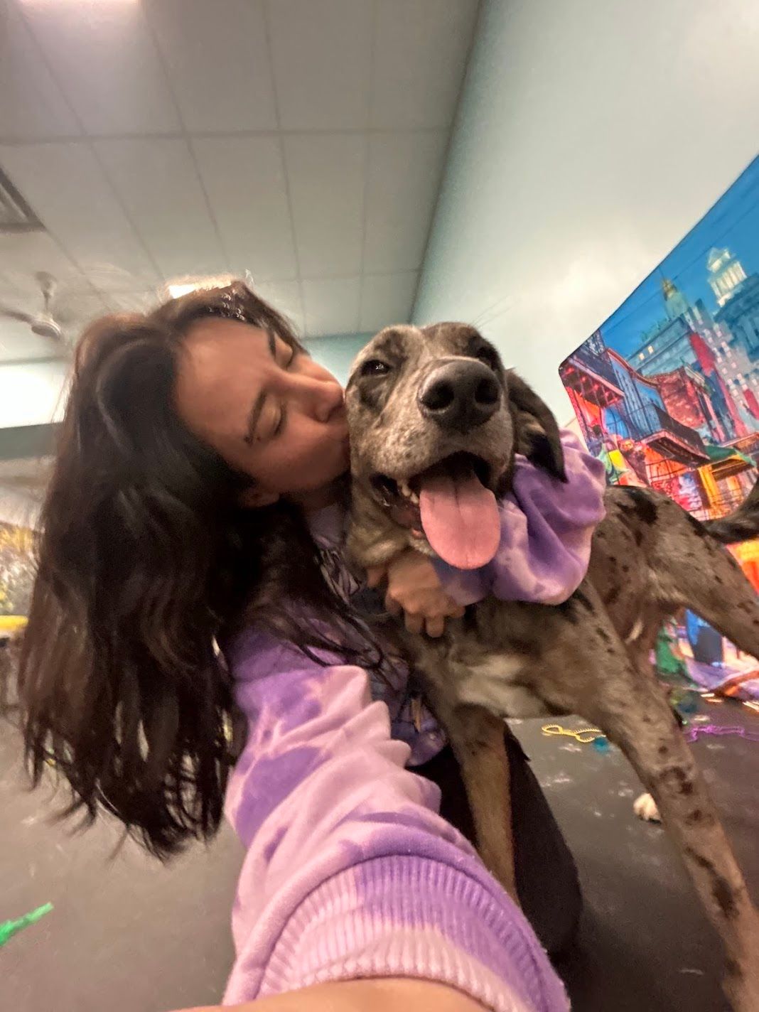 Young woman taking selfie while hugging large brindle dog with tongue out in colorful room.