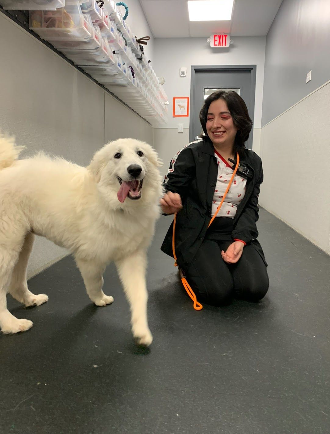 A smiling woman kneels beside a large fluffy white Great Pyrenees dog on a leash indoors.