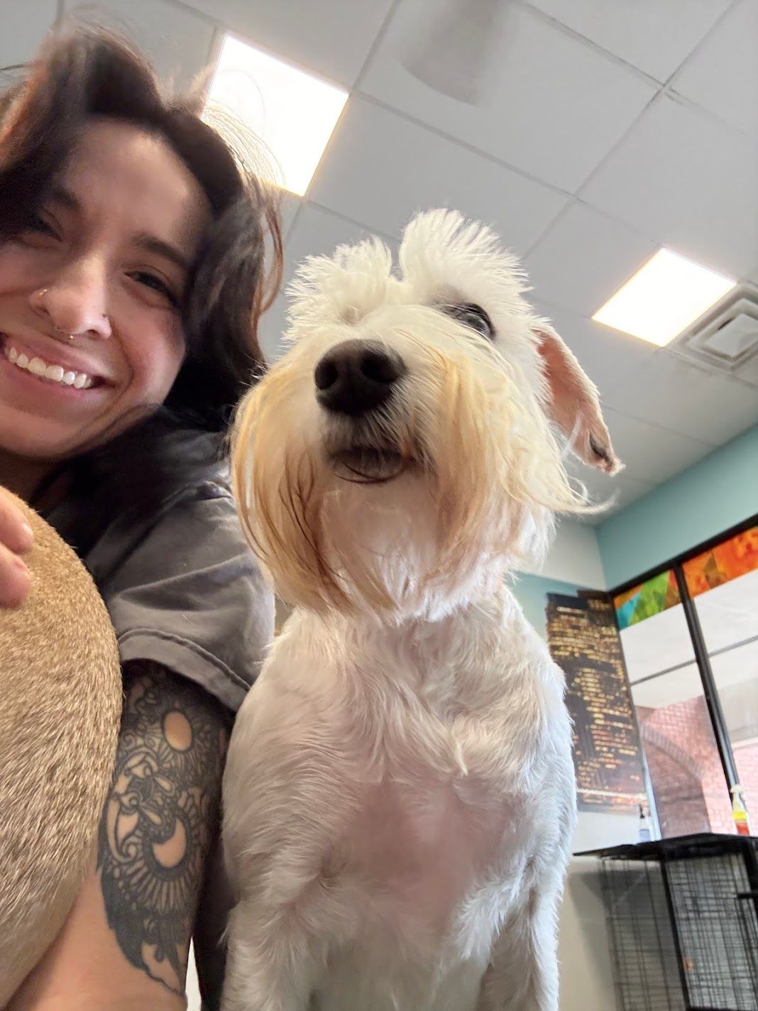 Smiling tattooed woman posing with a fluffy white Schnauzer dog inside a bright pet care facility.